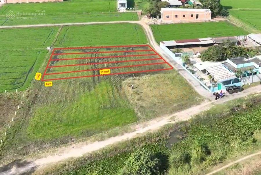 CC bán gấp 5 lô đất nền Đức Hòa cũ ngay trục ĐT.823D, cần ra hàng trước Tết (Giá: 6tr/m2)