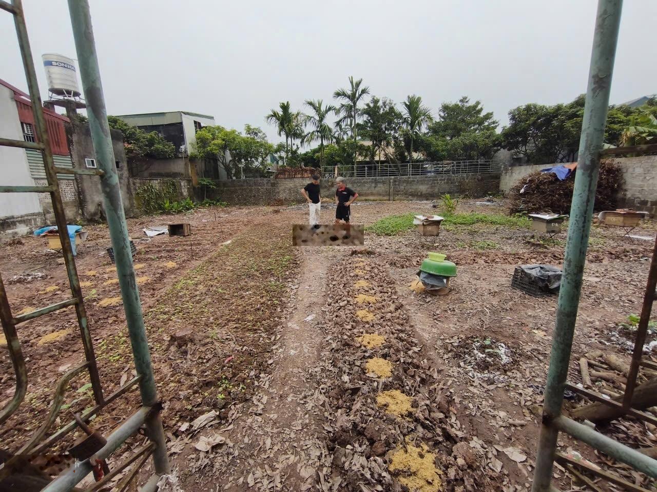 Bán nhanh đất ở Tân Sơn có hơn 7tr/m2