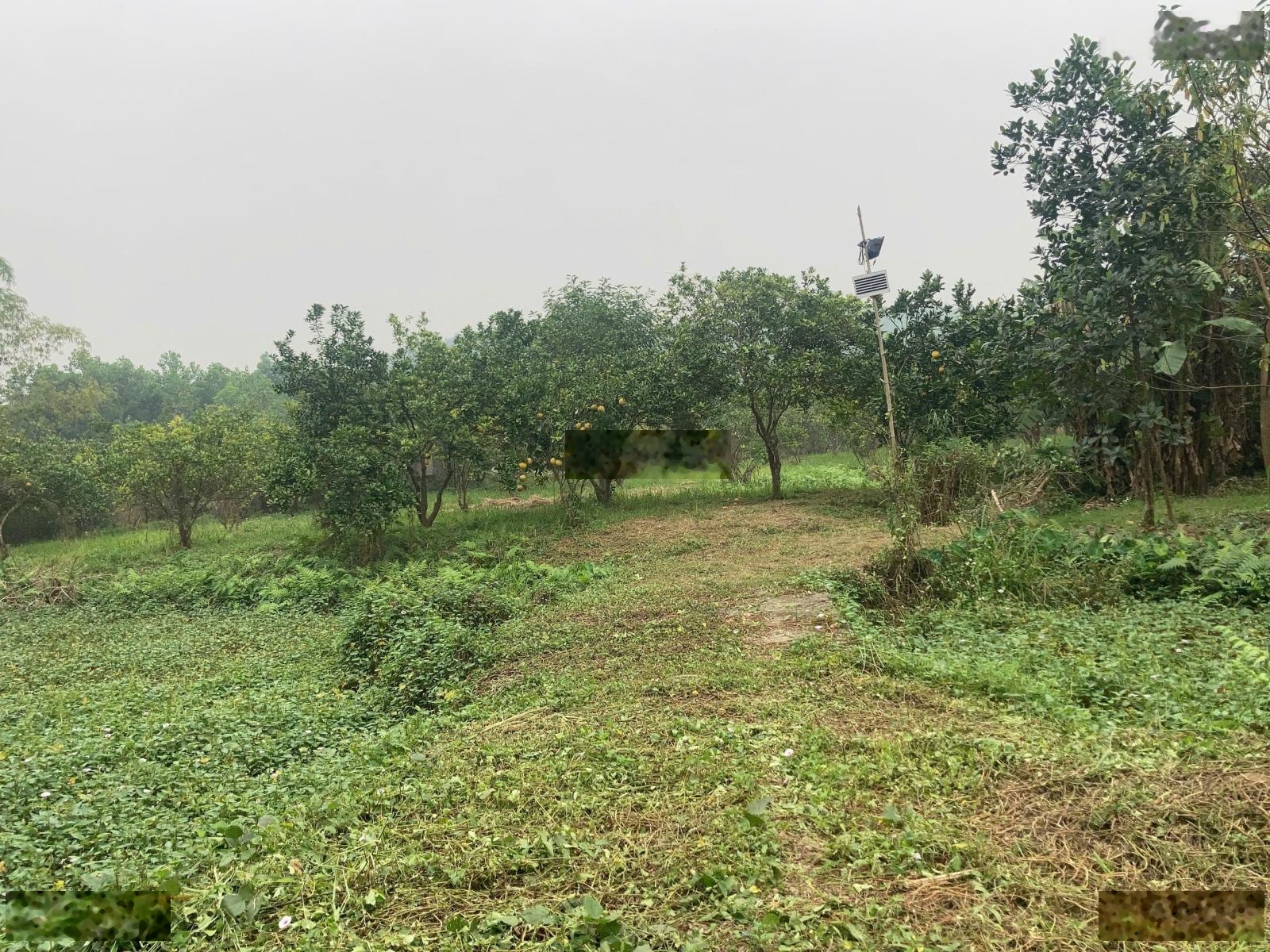 Chính chủ cần bán miếng đất diện tích 2300m2