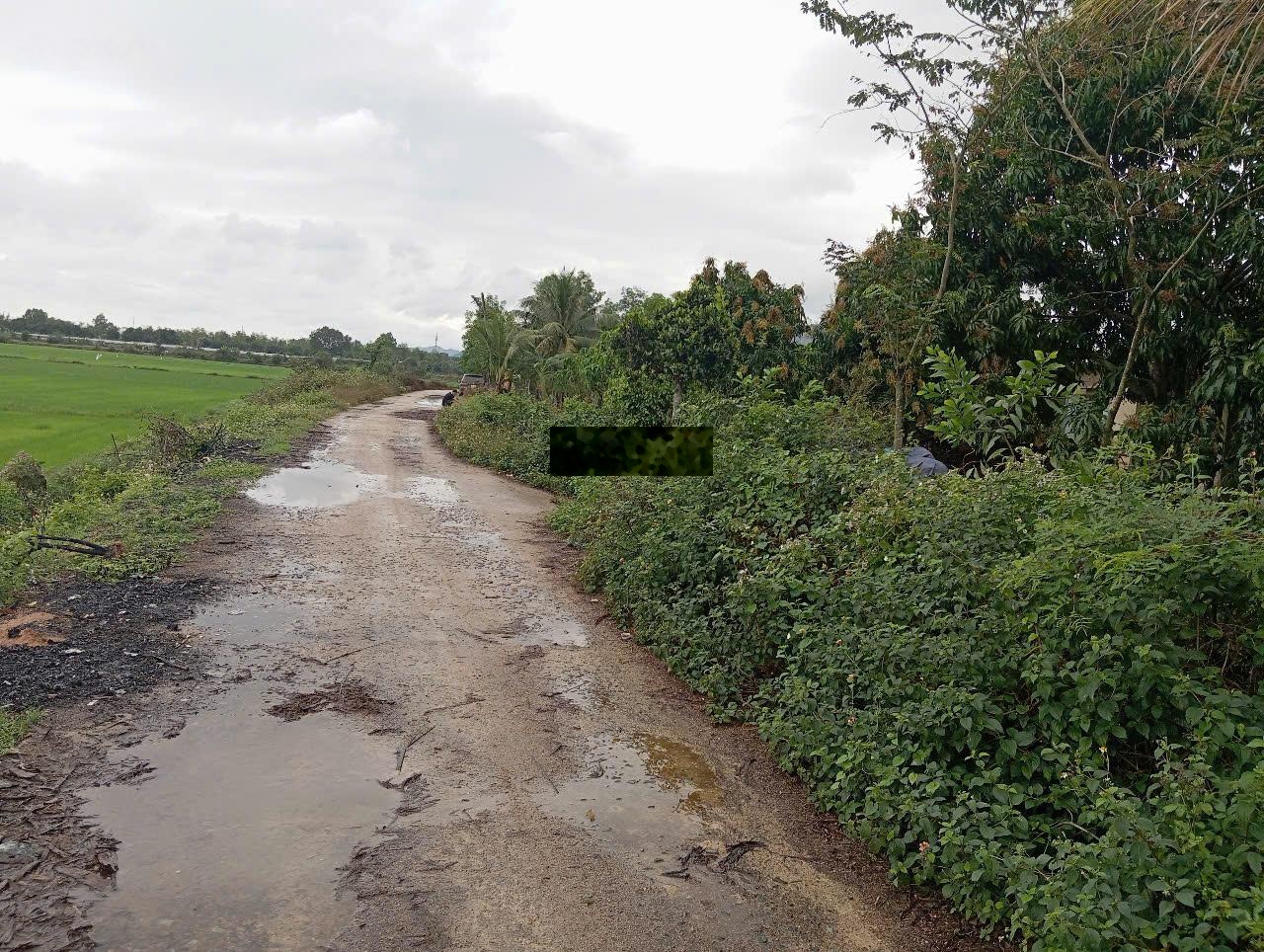 Bán đất thôn Xuân Thọ đường đất 3m,107m² đất ở, ngang 5m, chỉ 410 triệumức giá hiếm khu Xuân Sơn