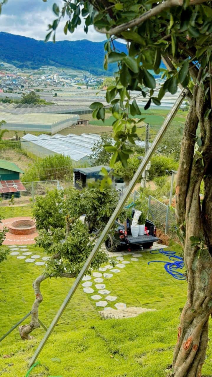 Bán nhà sân vườn 500m2. View toàn cảnh núi LangBiang. Mua bán công chứng sang tên