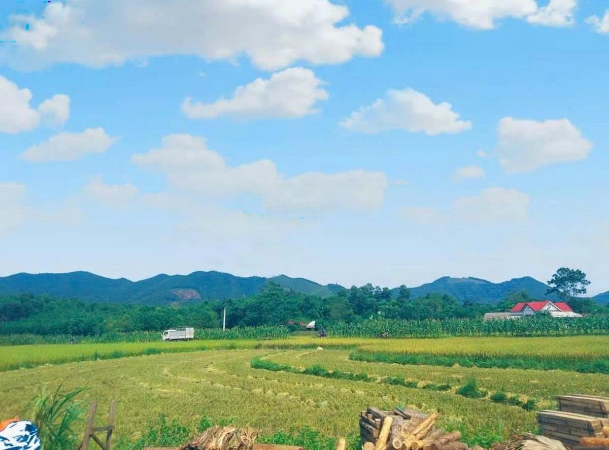 Gia đình cần bán mảnh đất xã Thanh Cường, Thanh Hà, Hải Dương, khổ đất rất đẹp 23m x 50m