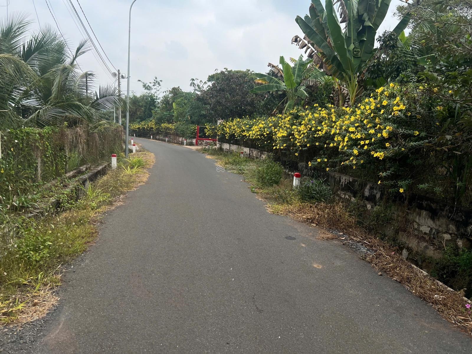 Bán đất 379m2, 938 triệu tại Quốc Lộ 56, Xã Suối Nghệ, Châu Đức, Bà Rịa Vũng Tàu