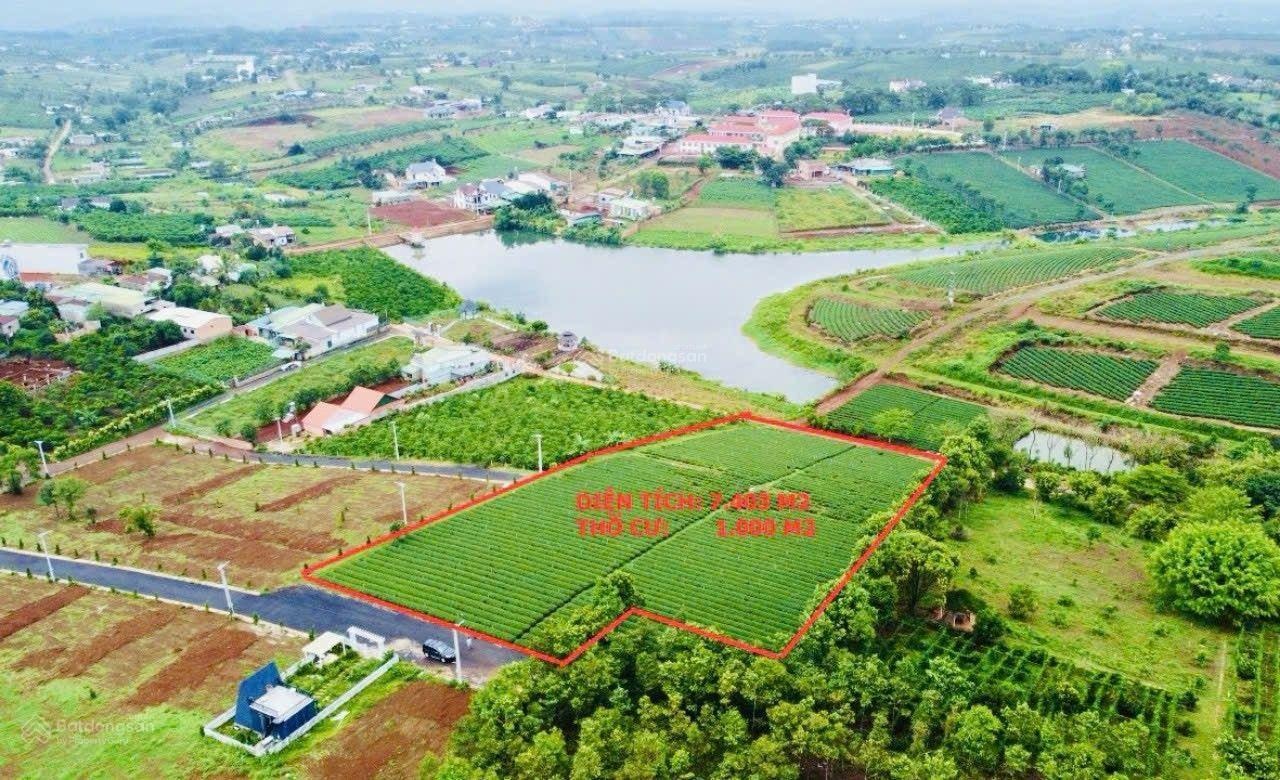 Xuất cảnh bán gấp - Bán đất Khúc Thừa Dụ 7403m² - 37 tỷ