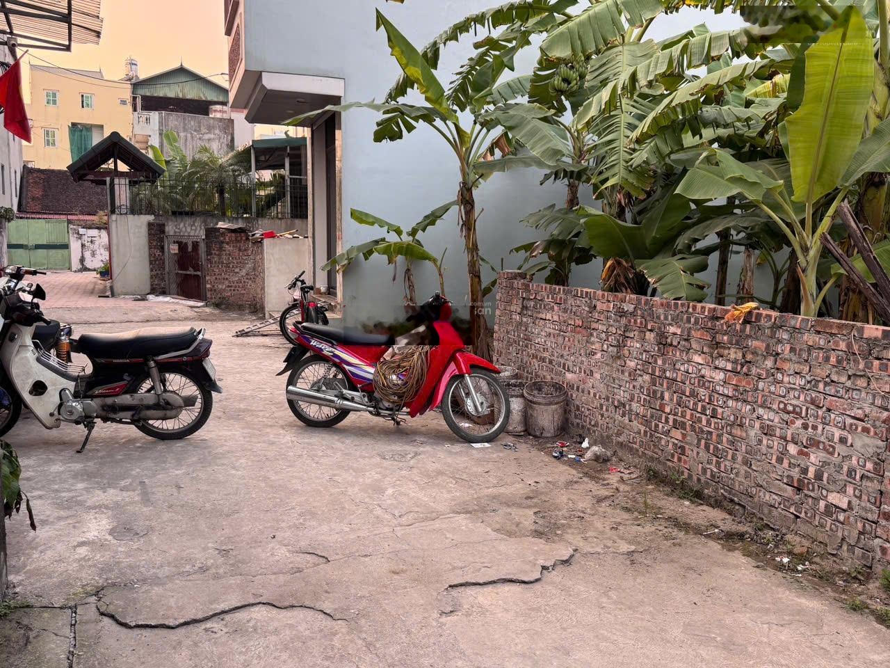 Chính chủ bán gấp trước tết đất đông hội giá rẻ diện tích 65m2 ô tô vào đất chỉ 120tr/m2