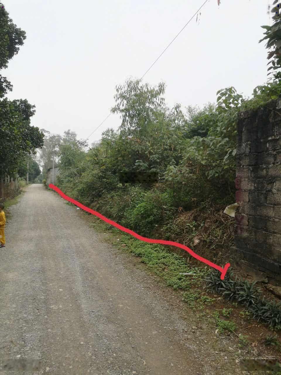 Chính chủ bán 1.756m2 full thổ cư tại Phú Mỹ C, Phú Sơn, Ba Vì, đường trước đất 6m, phân lô tốt