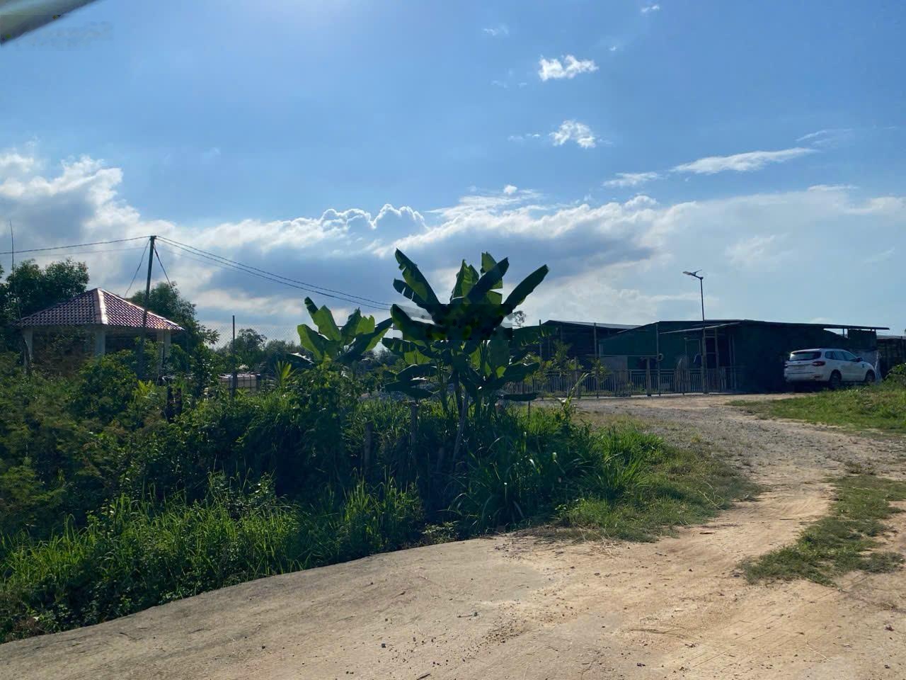 Bán đất Tịnh Thọ, Sơn Tịnh, Quảng Ngãi, giá ưu đãi 24 tỷ, 14852 m2