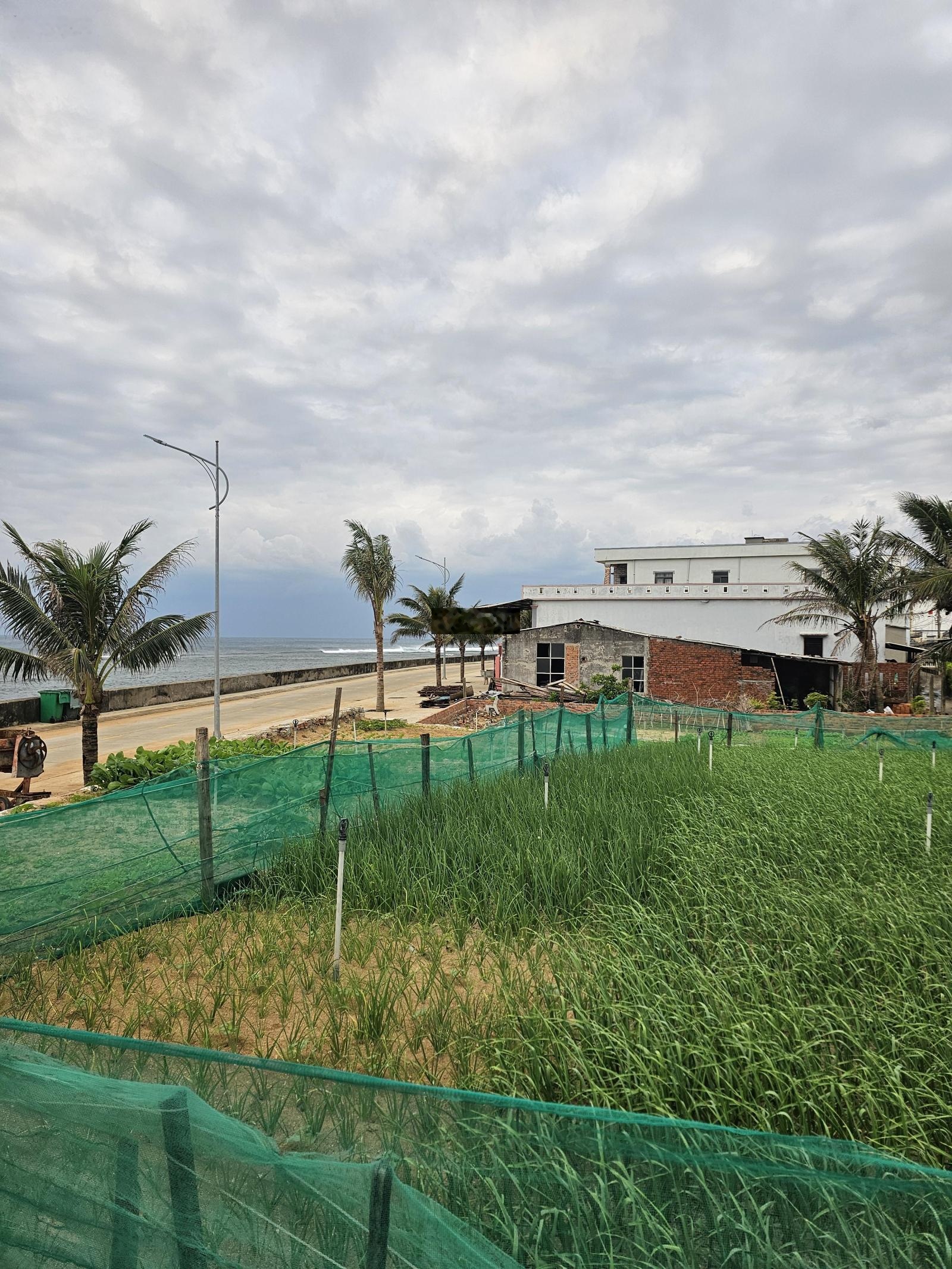 Đất view biển, trung tâm đặc khu Lý Sơn