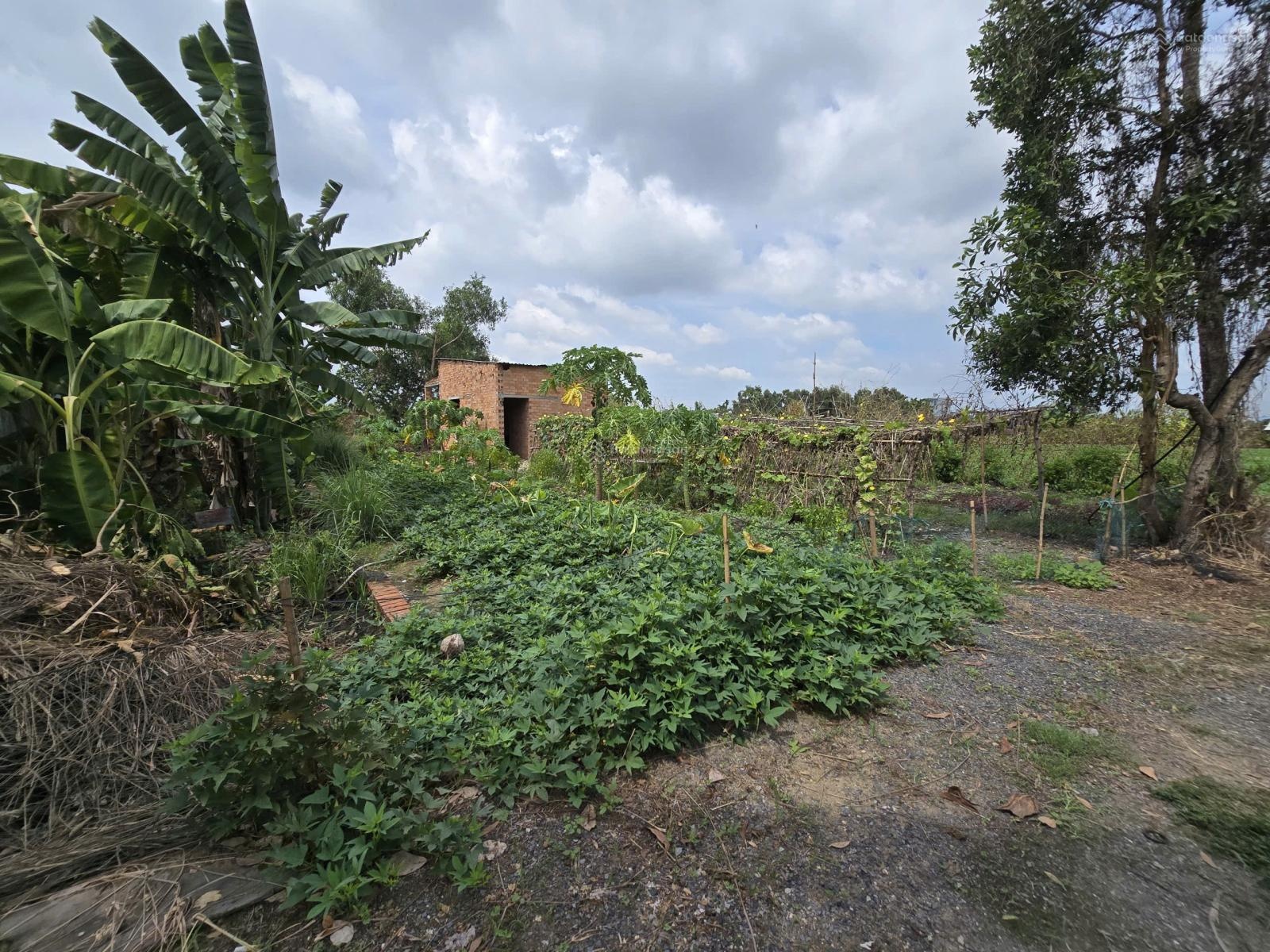 Chủ gởi bán lô đất ngang 11,5 m full thổ cư gần cầu Đá Hàng Giá 4,25 tỷ