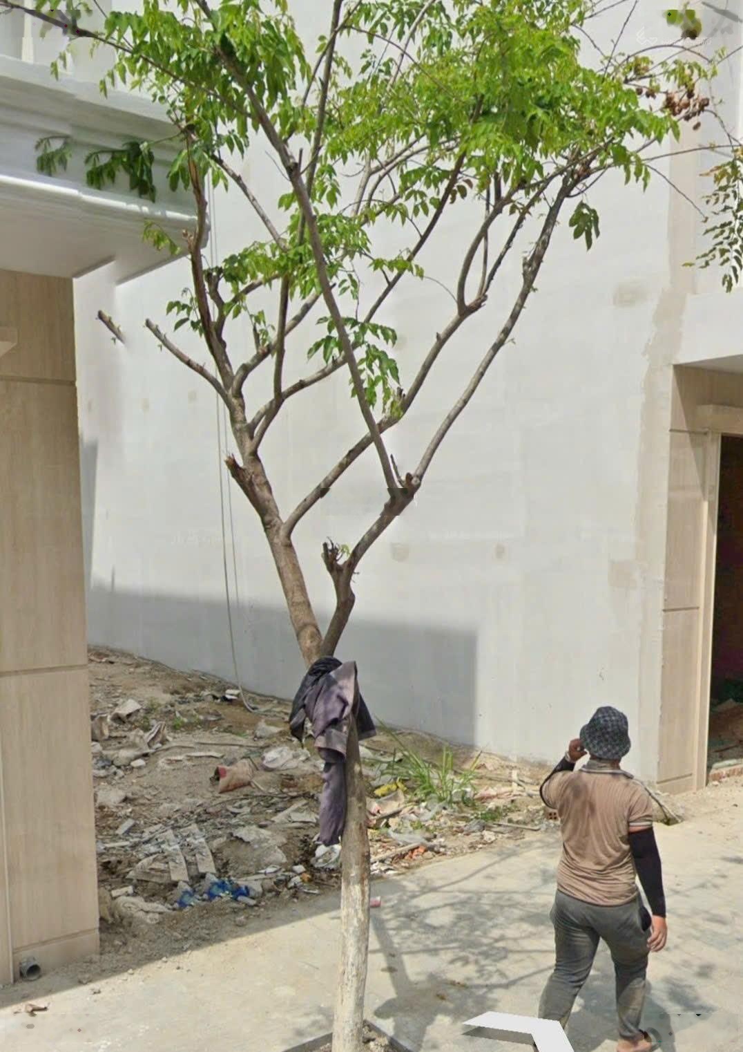 Bán đất kđt vcn phước long 2 nha trang - đường a2 rộng 16 mét giá rẻ nhất thị trường 80 tr/m2