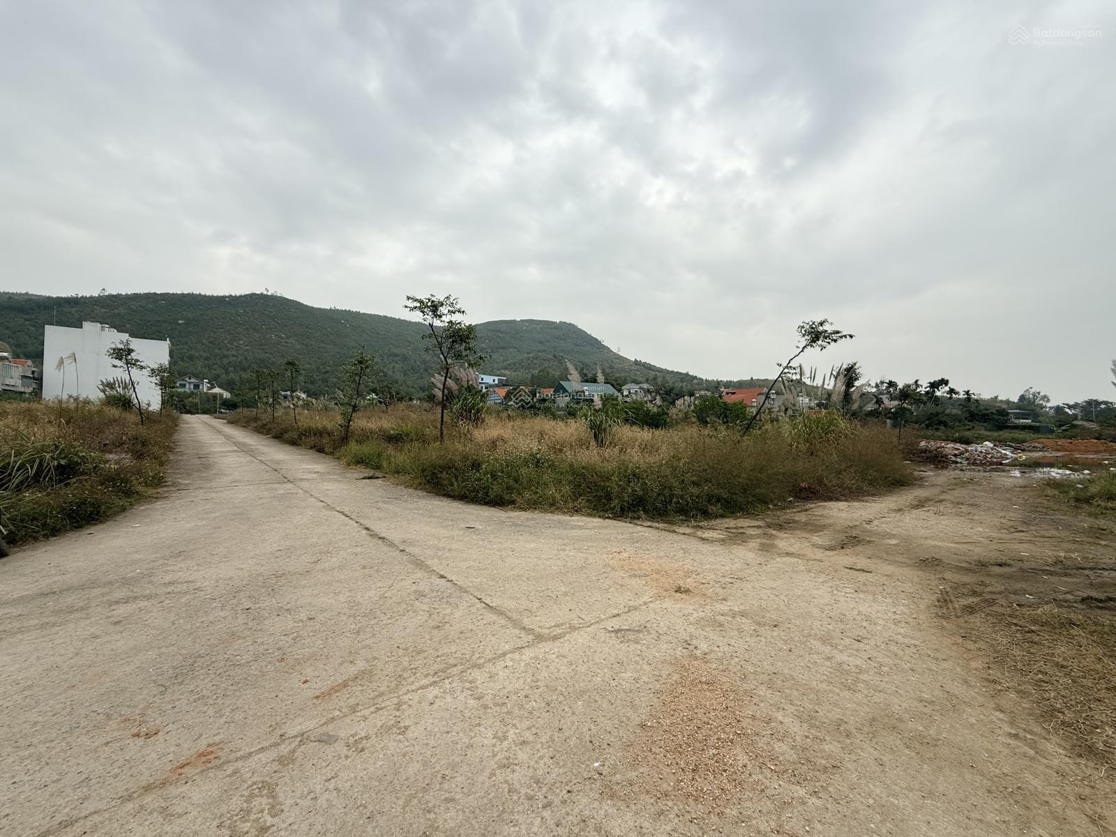 Đất tái định cư Đại Yên, gần dự án Hạ Long Xanh - 82.5m2