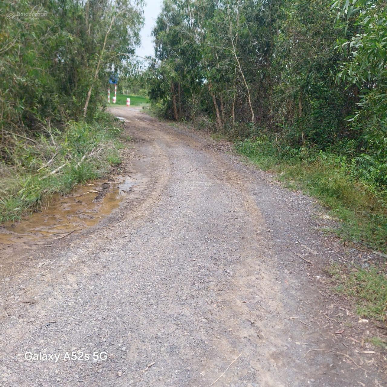 Bán gấp 515m2 có sẵn 200m thổ đường 7m trước đất, kế KDL Bò Cạp Vàng giá 2,5tỷ. LH 0906949069