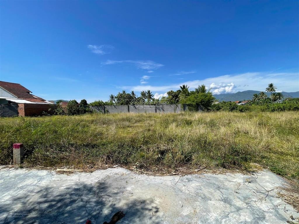 Đất ở giá rẻ duy nhất ở thôn Xuân Thọ,Xuân Sơn | 104m²,ngang 4,2m,đường bêtông 4m giá 530 triệu