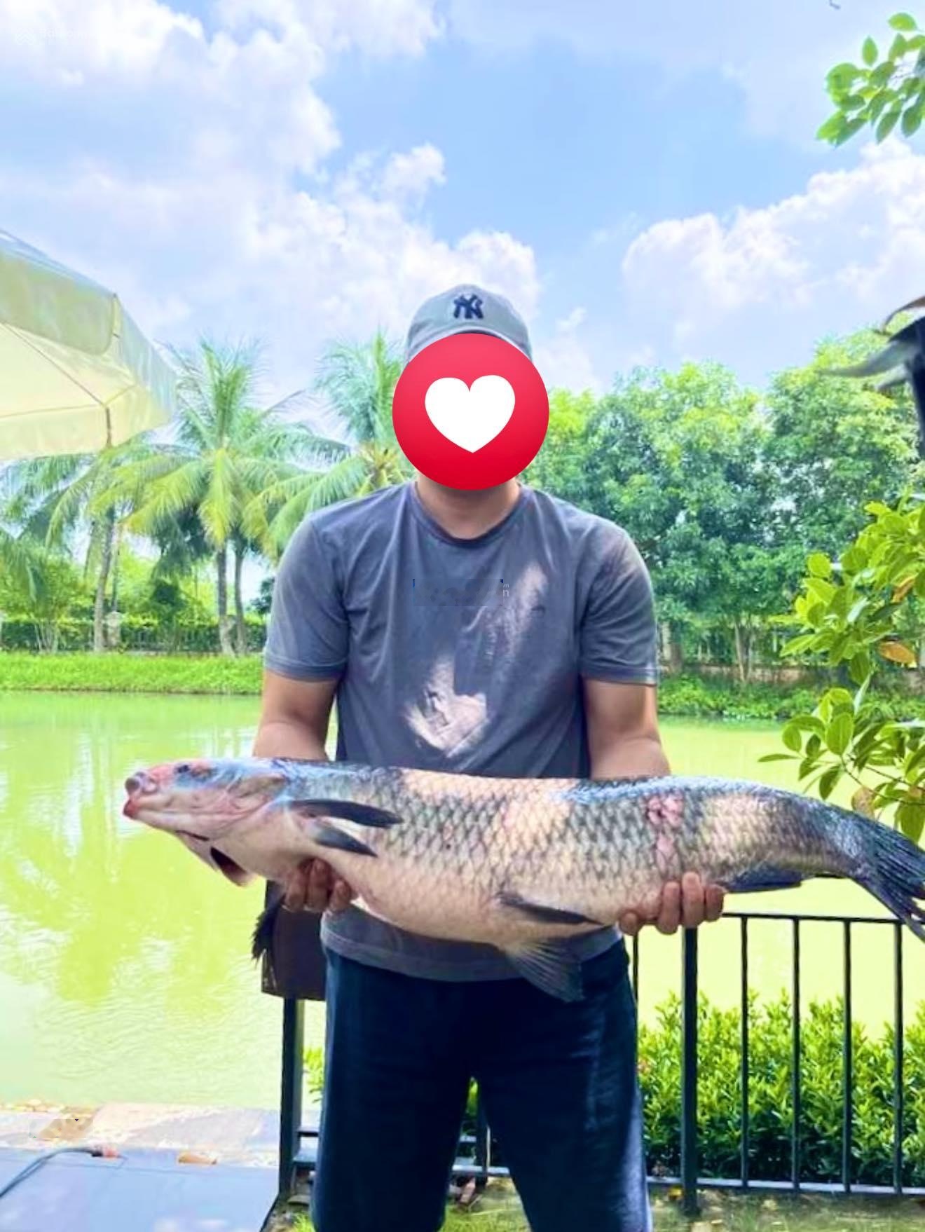 Bán biệt thự song lập 270m2 Hoa Sữa Vinhomes Riverside, view sông lớn, 4PN, 5WC, Hoàn thiện đẹp