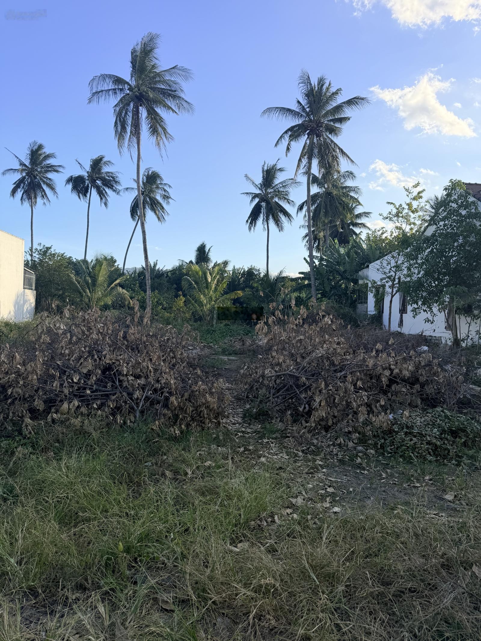 Lô Đất quy hoạch giữ lại đô thị mới Cam Lâm, Khu dân cư đông đúc tìm năng sinh lợi cao