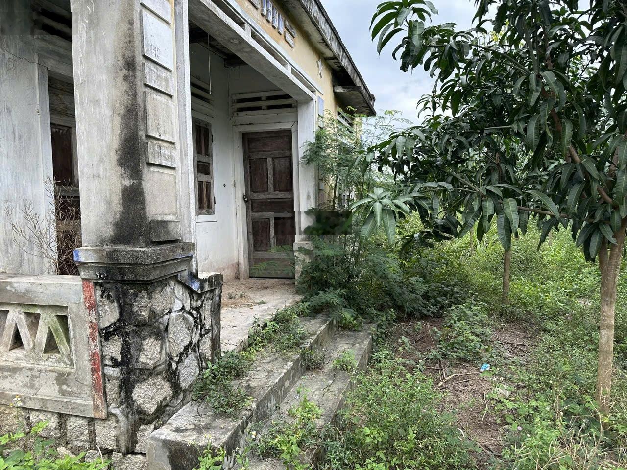 Chính chủ cần bán đất vườn phường Bùi Thị Xuân, thành phố Quy Nhơn, Tỉnh Bình Định