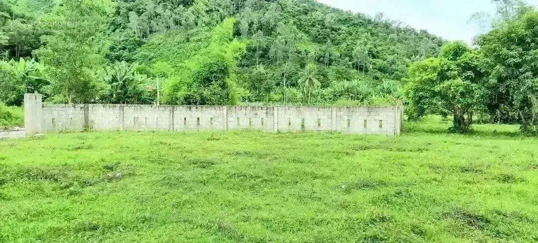 Hàng độc bản xã hòa bắc suối tự nhiên sau đất không có lô thứ 2 đất nghỉ dưỡng sinh t