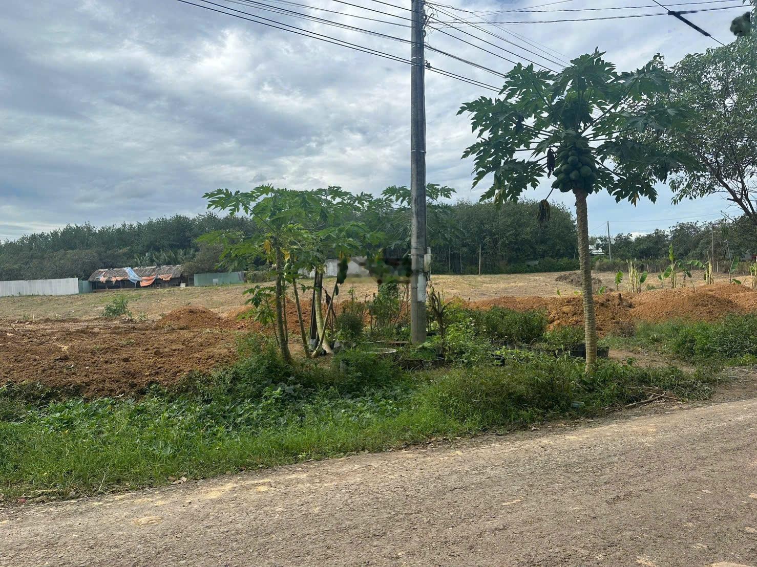 Chính chủ bán Đất sẵn 100m thổ cư , SHR