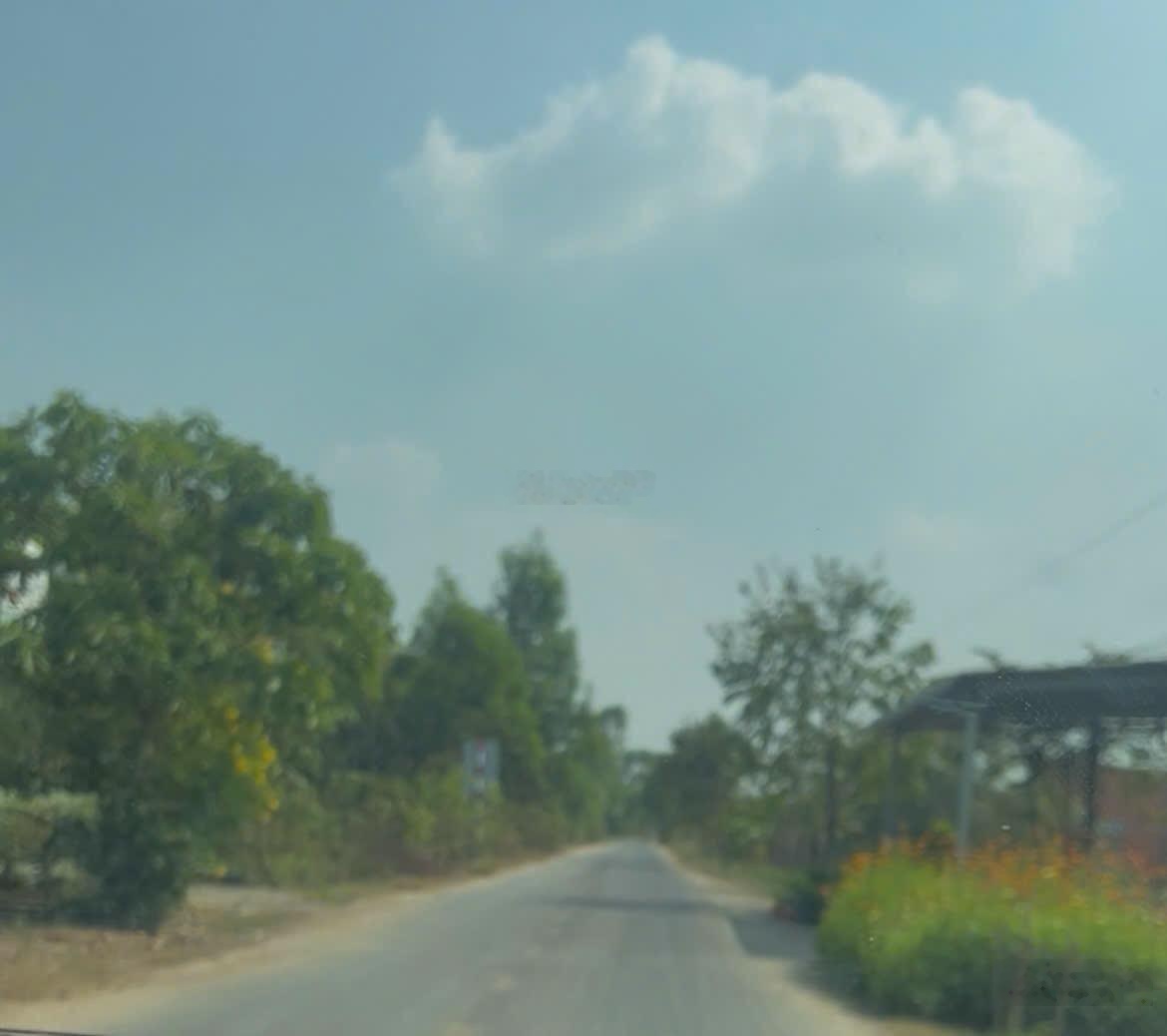 Bán đất Đường An Thuận 320m2 tại Xã An Ninh Đông, Đức Hòa, Long An, giá 3,1 tỷ