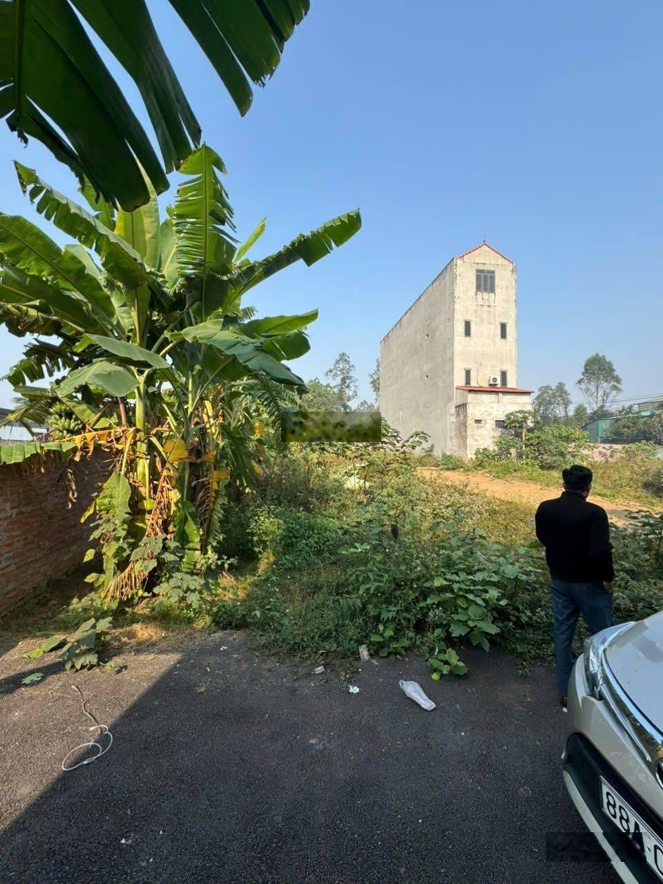 Chính chủ cần nhượng lại đất Liên Bảo vị trí vàng cho con học trường chuyên