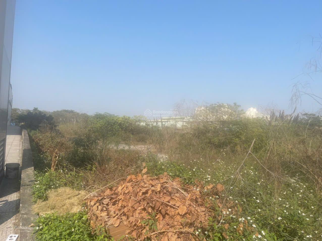 Cho thuê đất mặt đường Đại lộ Thăng Long, An khánh 8300m2, đã san phẳng vào dùng luôn giá 33k/m2