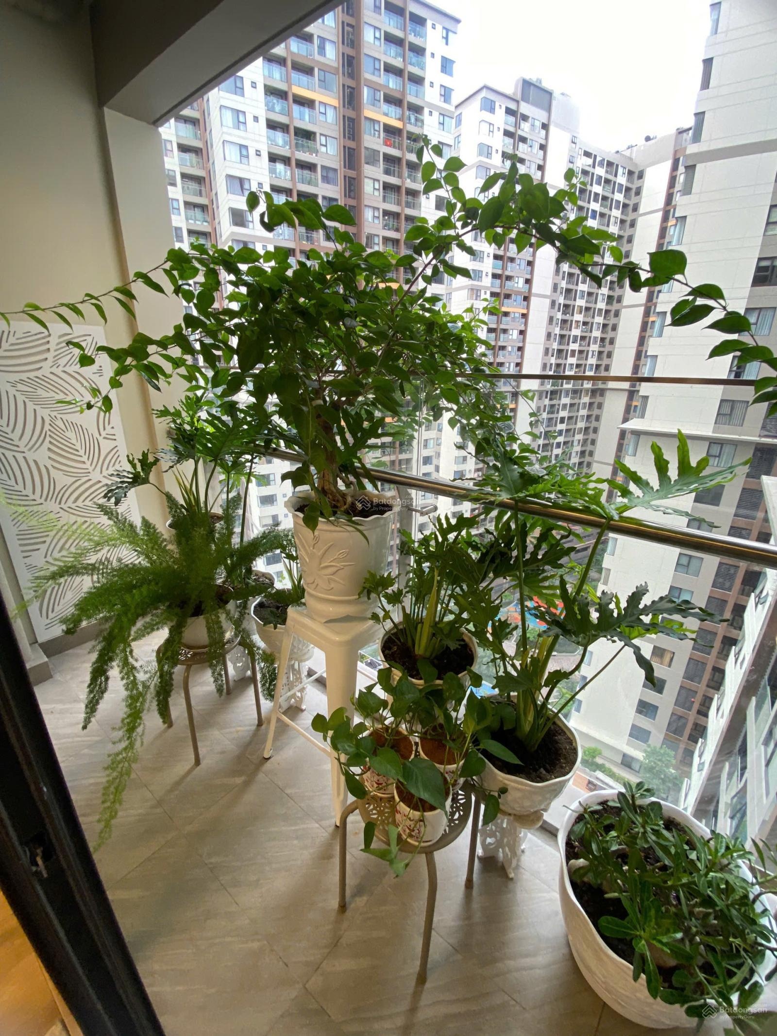 Akari city bán căn 2pn giá 4 tỷ full nội thất. ht vay 70%