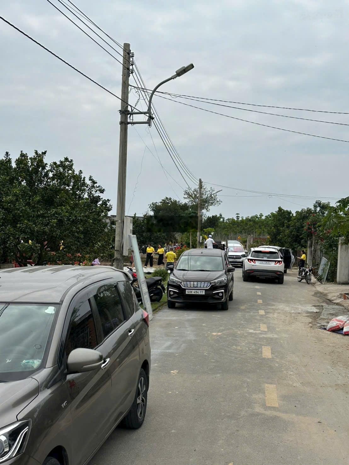 Đất sẵn vườn cây ăn trái 5x50 thổ cư 100 giá cực hời tại Trừ Văn Thố - Bàu Bàng