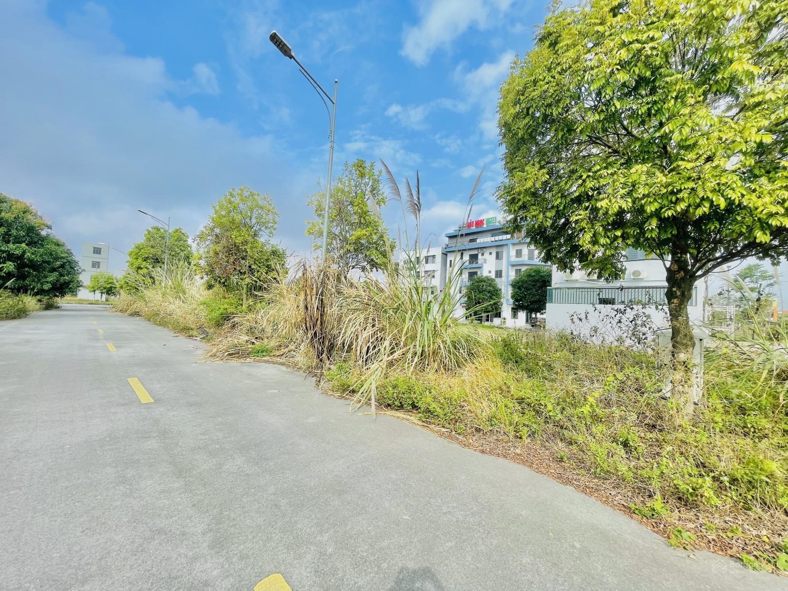 Thái Huy: Cập nhật giỏ hàng đẹp nhất T2/2026 khu BV. Việt Đức, Bạch Mai cơ sở Hà Nam (Ninh Bình)