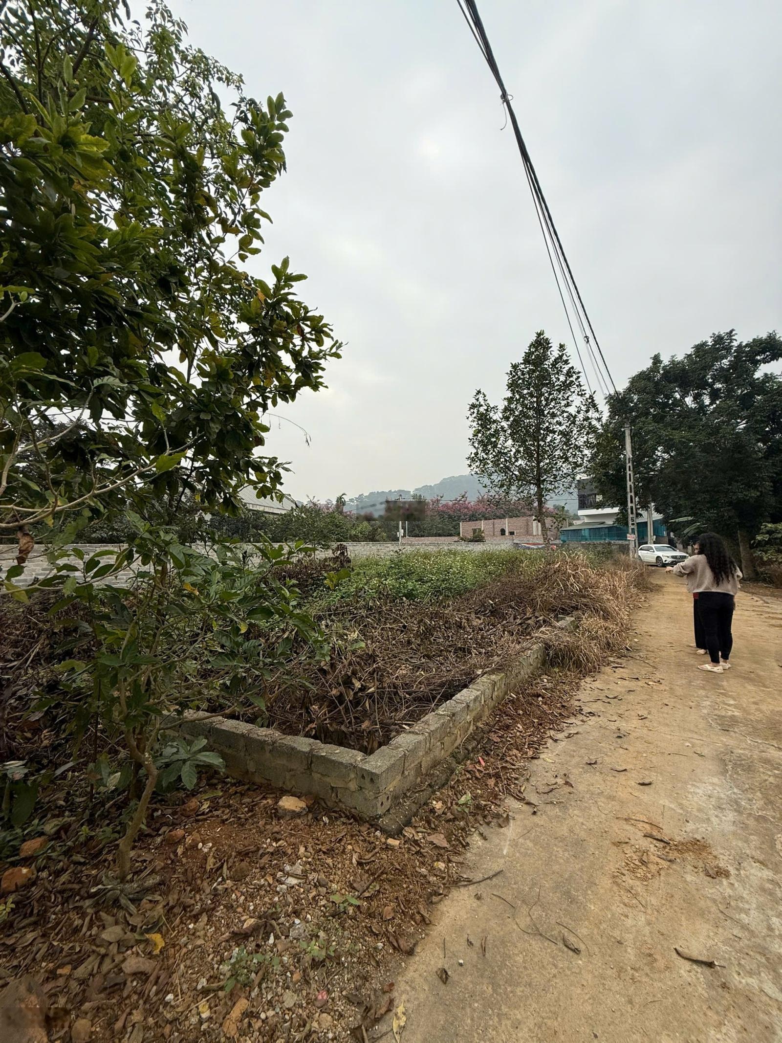 Đất Tản Lĩnh-Lô góc giáp cổng vườn Quốc Gia-gần Hồ Tiên Sa, xung quanh là homestay-không khí mát mẻ