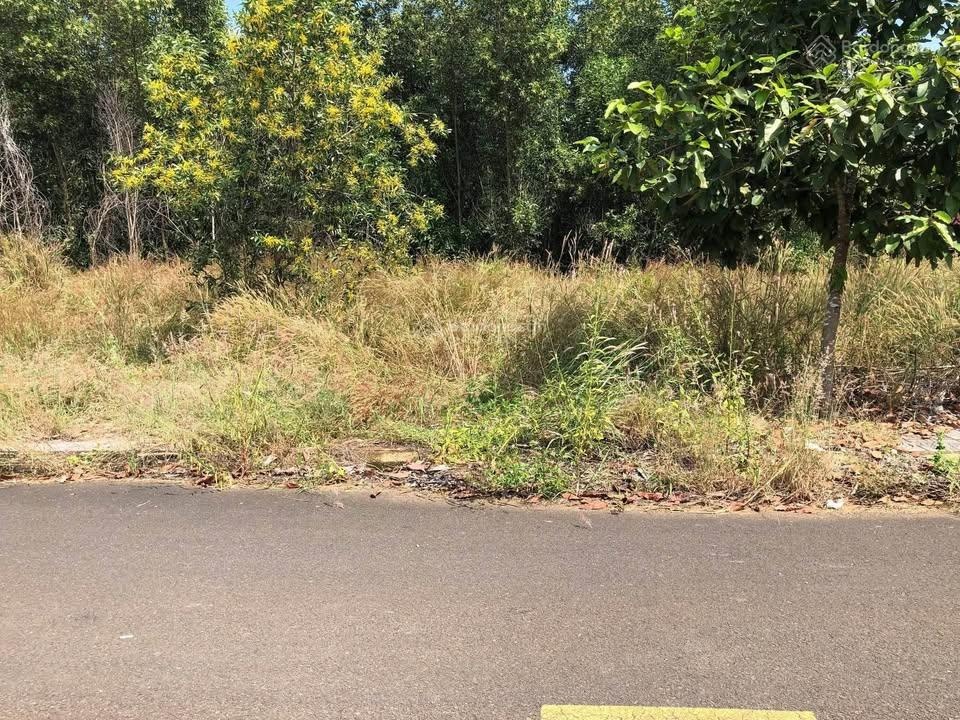 Vị trí đẹp - Tt Hành chính Bù Nho. Chị Hậu chủ đất cắt 100tr bán trước Tết Âm ( thương lượng mạnh )