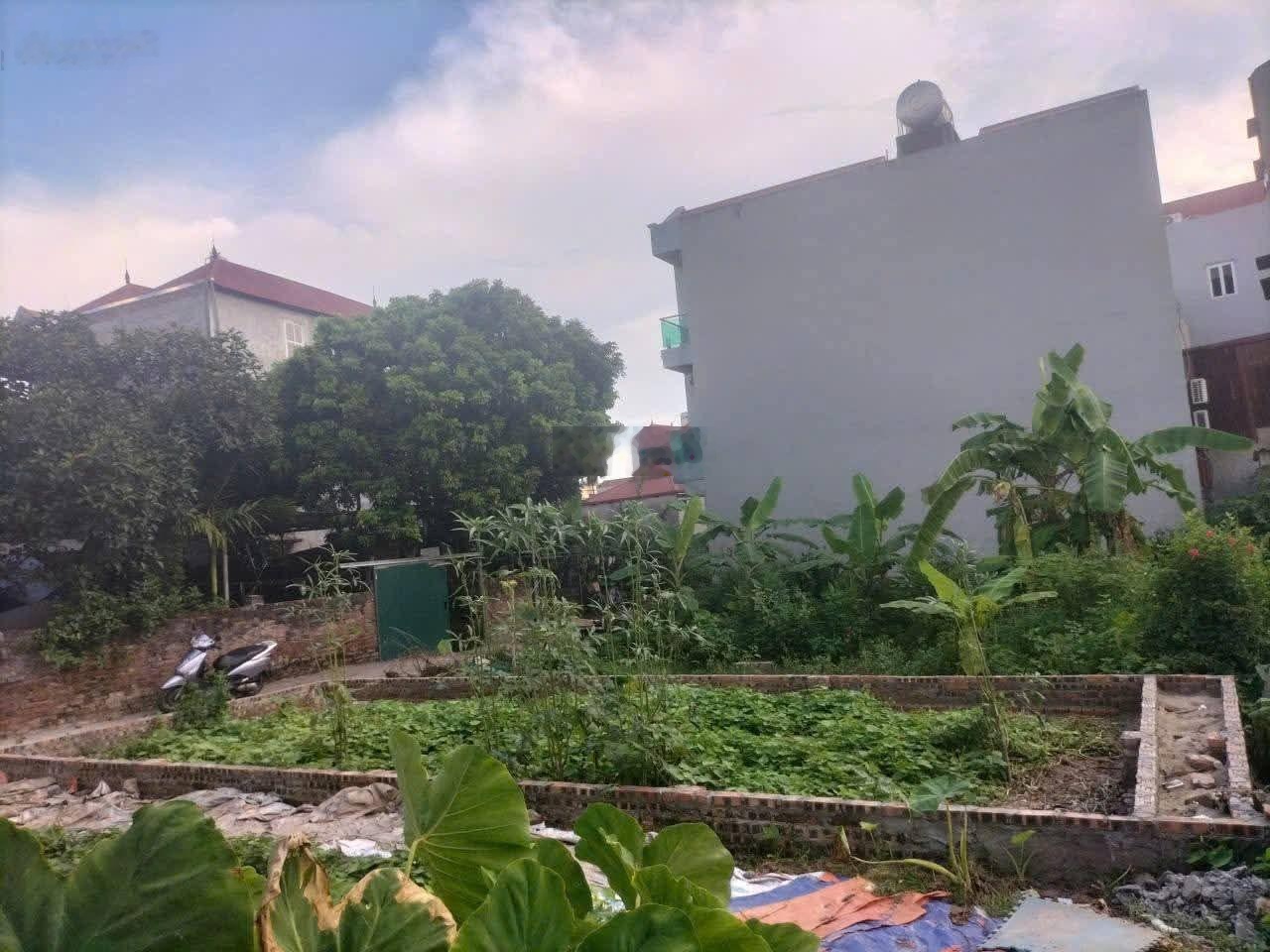 Chính chủ cần bán gửi bán gấp mảnh đất đẹp 50m2 Thôn Hội Phụ, Đông Hội, Đông Anh Hà Nội giá 4,8 tỷ