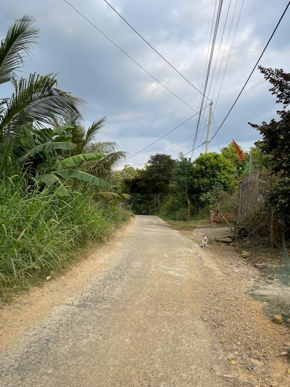 Bán gấp đất mặt tiền đường bê tông 40m, có cây ăn trái, khu dân cư, 400m2 thổ cư