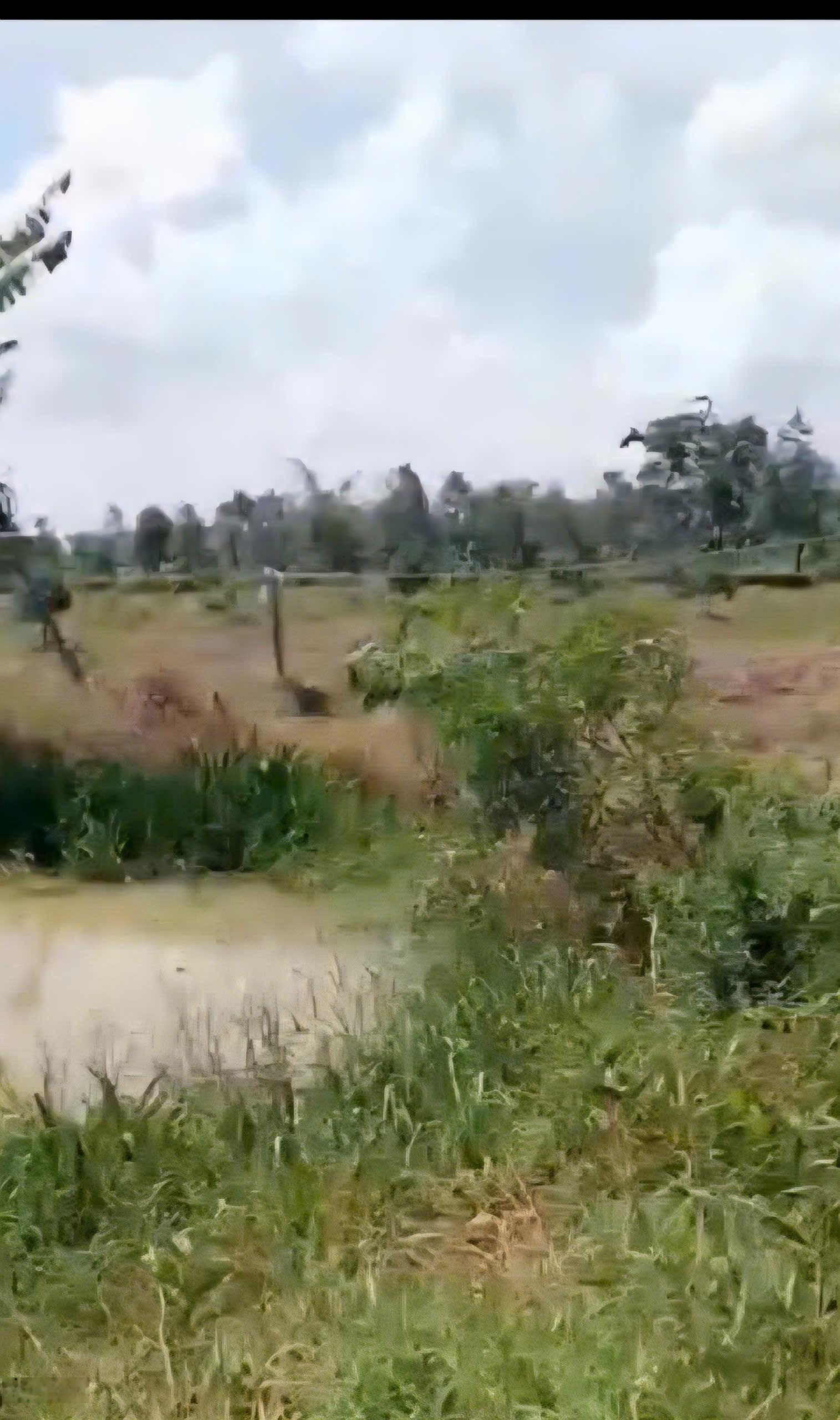 Bán 2.300m2 đất cây lâu năm tại Đức Huệ (Long An cũ), có 500m2 thổ cư. Giá 3,4 tr đồng/m2