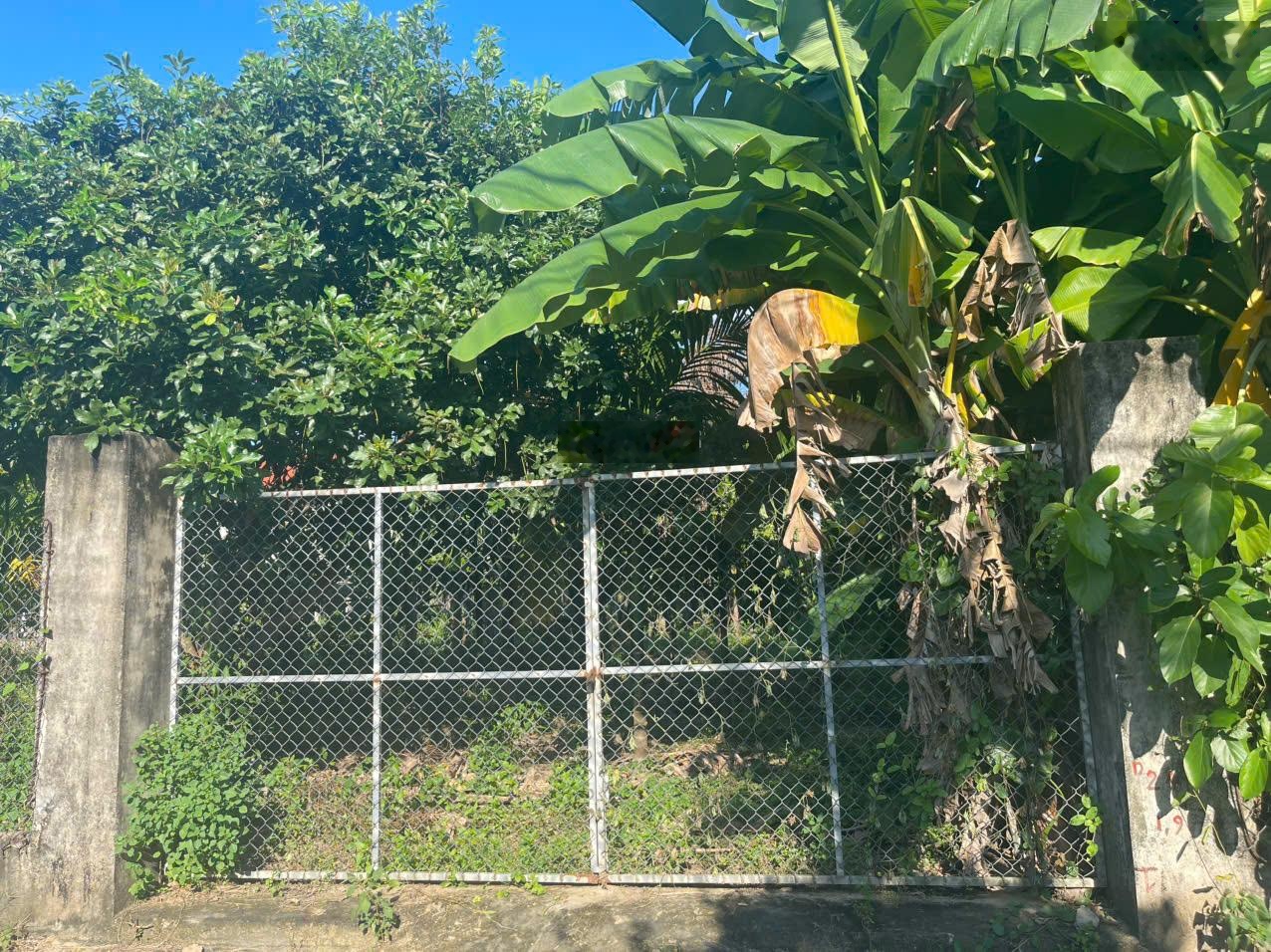 Bán vườn Nghĩa Dõng chính chủ liền kề NOXH Phú Mỹ. Cơ hội tăng giá mạnh trong 1-2 năm tới.