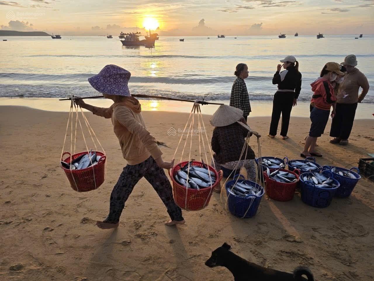 Bán đất biển long thủy - tp. tuy hòa - 240m2 full đất ở - giá 4,9 tỉ có bớt lộc