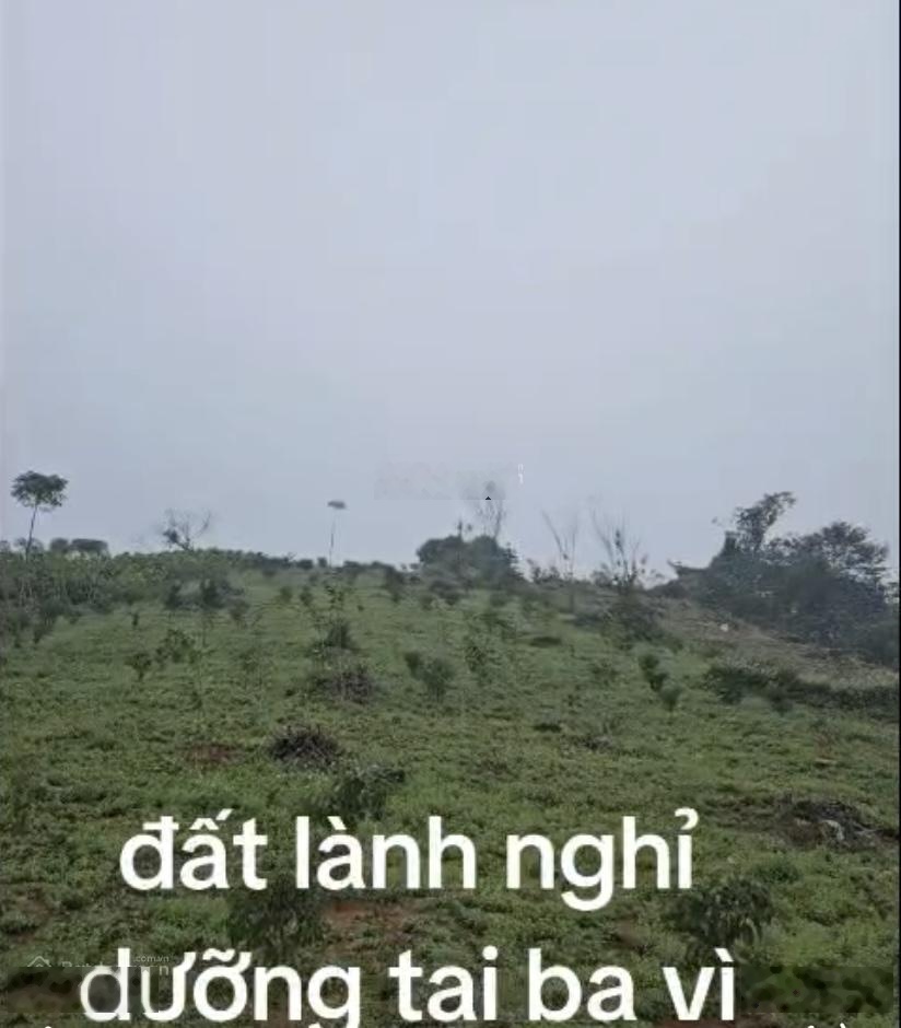 Tôi cần bán 3 sào đất nghỉ dưỡng sườn đồi, view núi,đã có sổ đỏ. Giá chỉ 2.75 tỷ