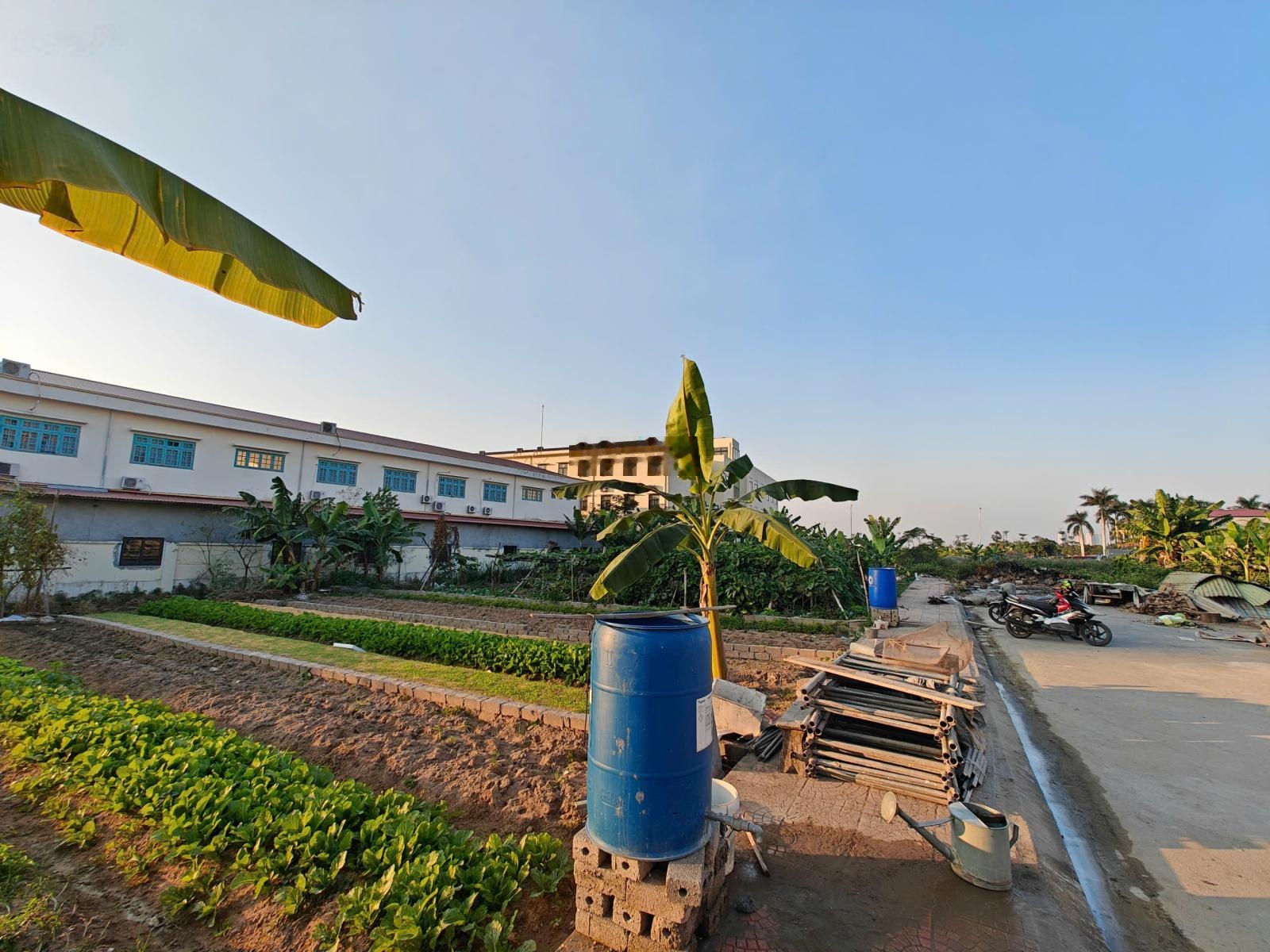 Bán đất tđc sau trường cấp 2 hưng đạo - dương kinh