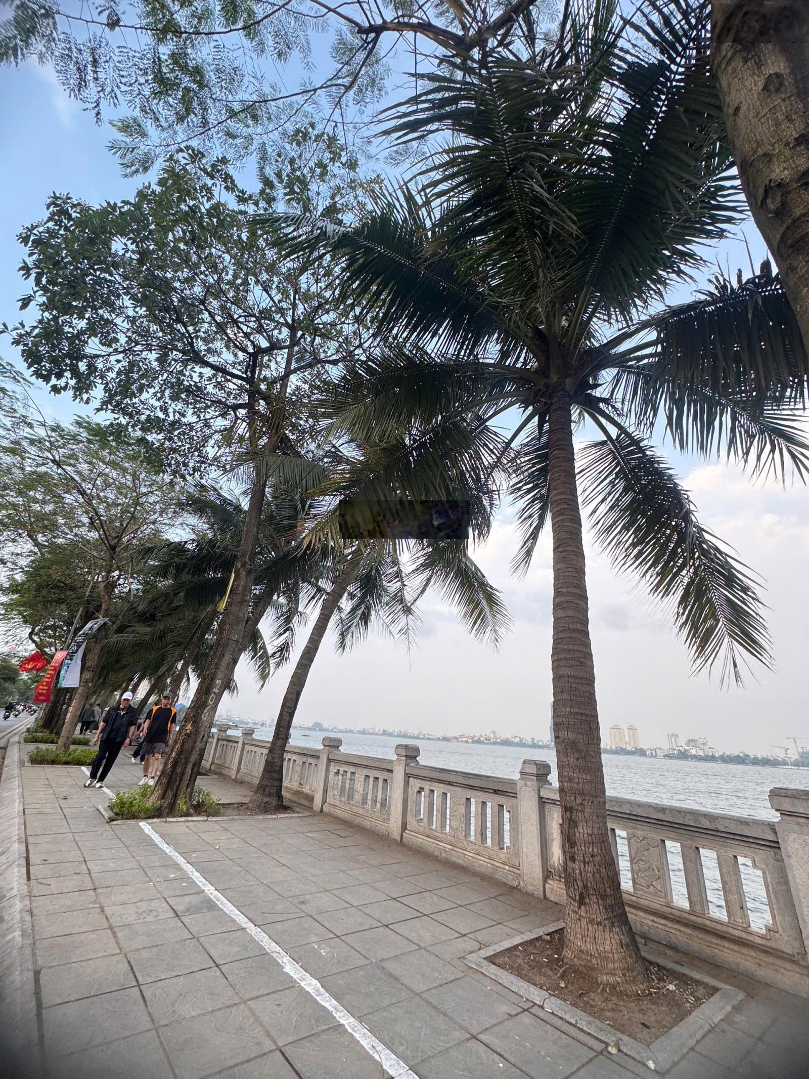 Chính chủ cần bán mảnh đất ô tô đỗ cửa, gần phố, sát hồ. 82m², giá 16.8 tỷ