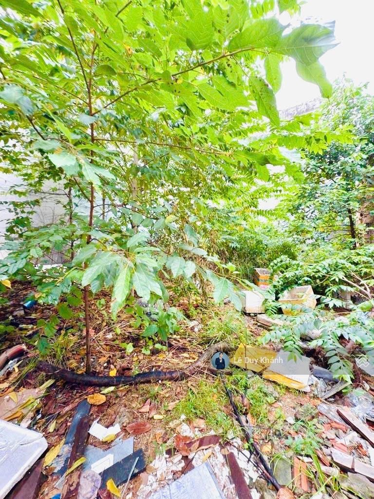 Siêu hiếm lô đất đẹp 100m2 - Ngang đẹp 8m - Hẻm xe hơi P.25 ngay ĐH Ngoại Thương - Xây CHDV