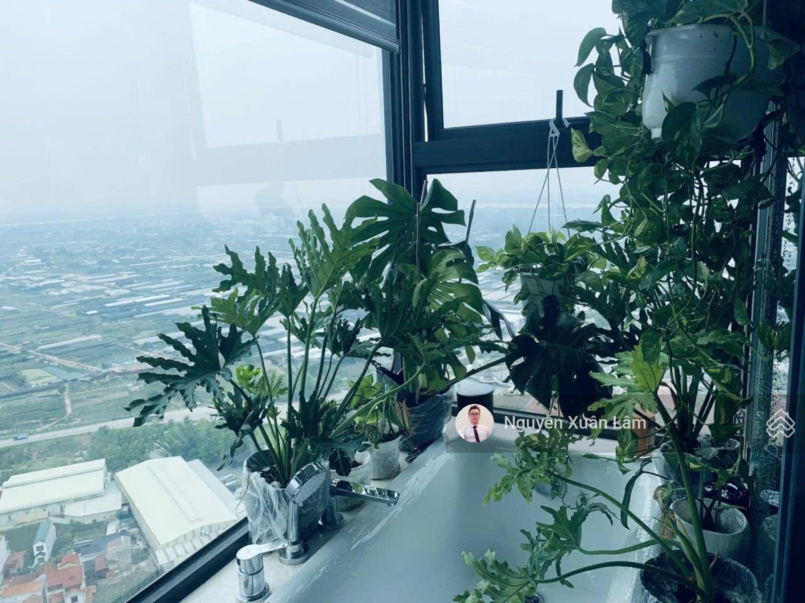 Cần bán căn 80m2 full đồ vị trí góc view 360 độ đẹp giá rẻ 6 tỷ bao phí Haven - Ecopark