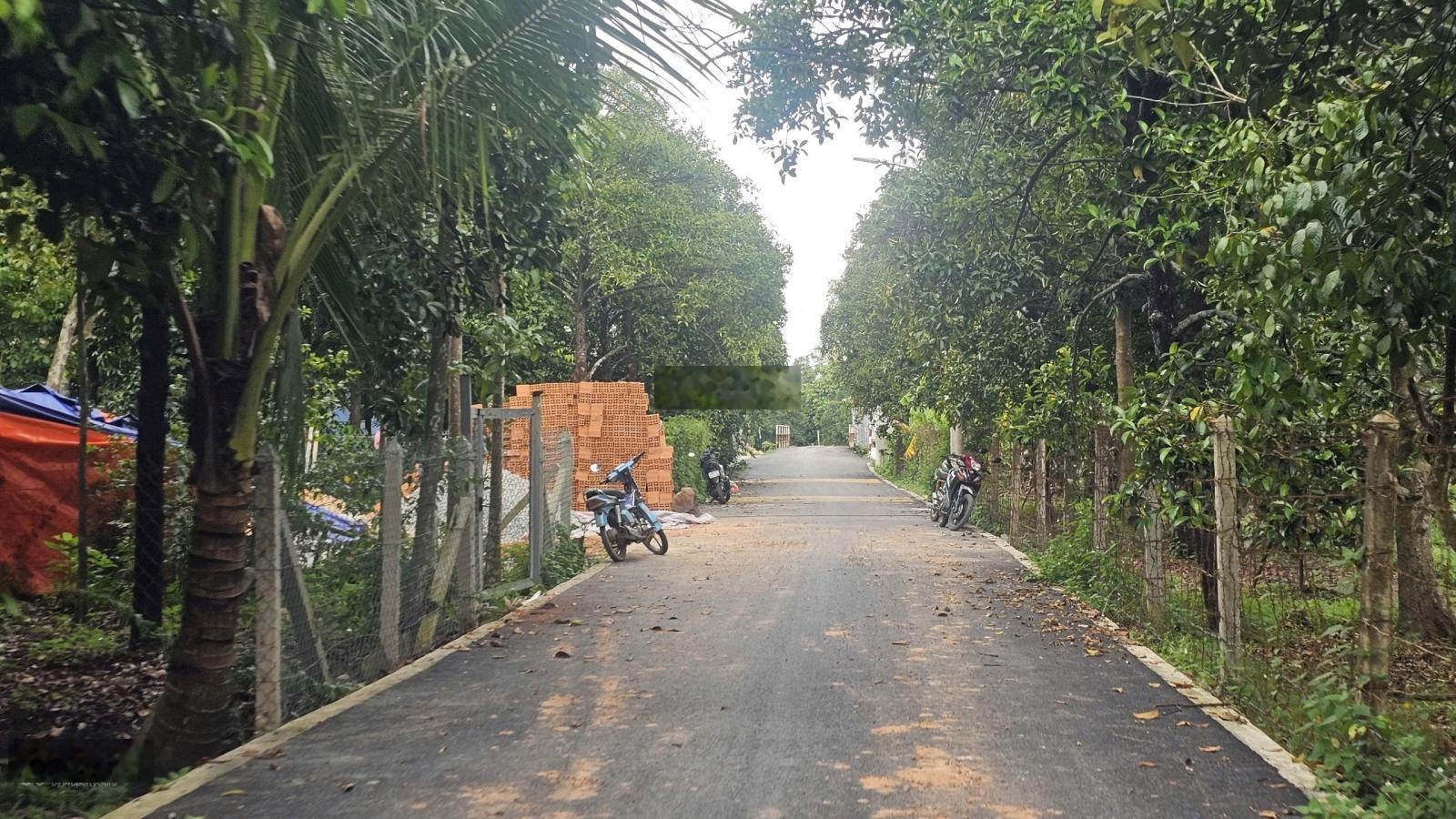 Kẹt tiền bán đất đẹp an sơn 50 gần cảng an sơn | phù hợp xây biệt thự vườn