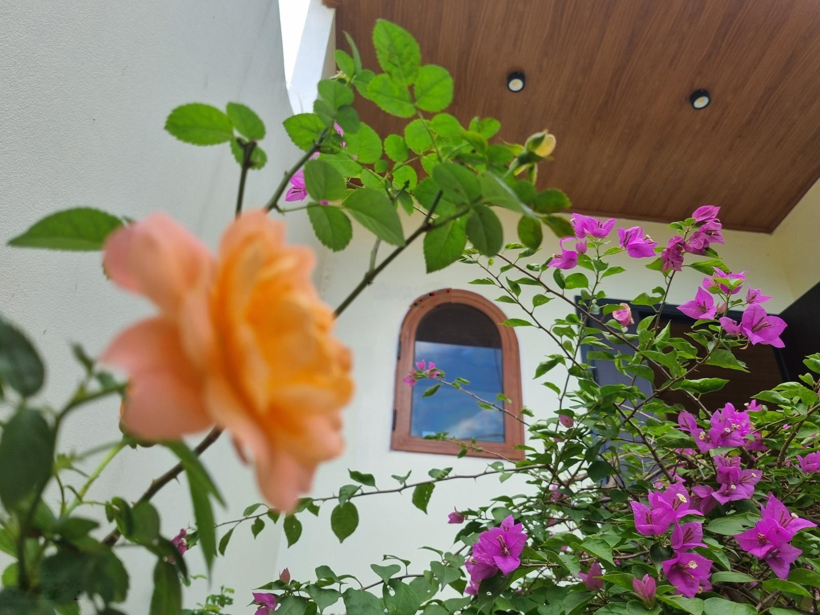 Bán nhà đẹp 110m, trục chính gần hồ, giá tốt hơn 1 tỷ so với hàng xóm