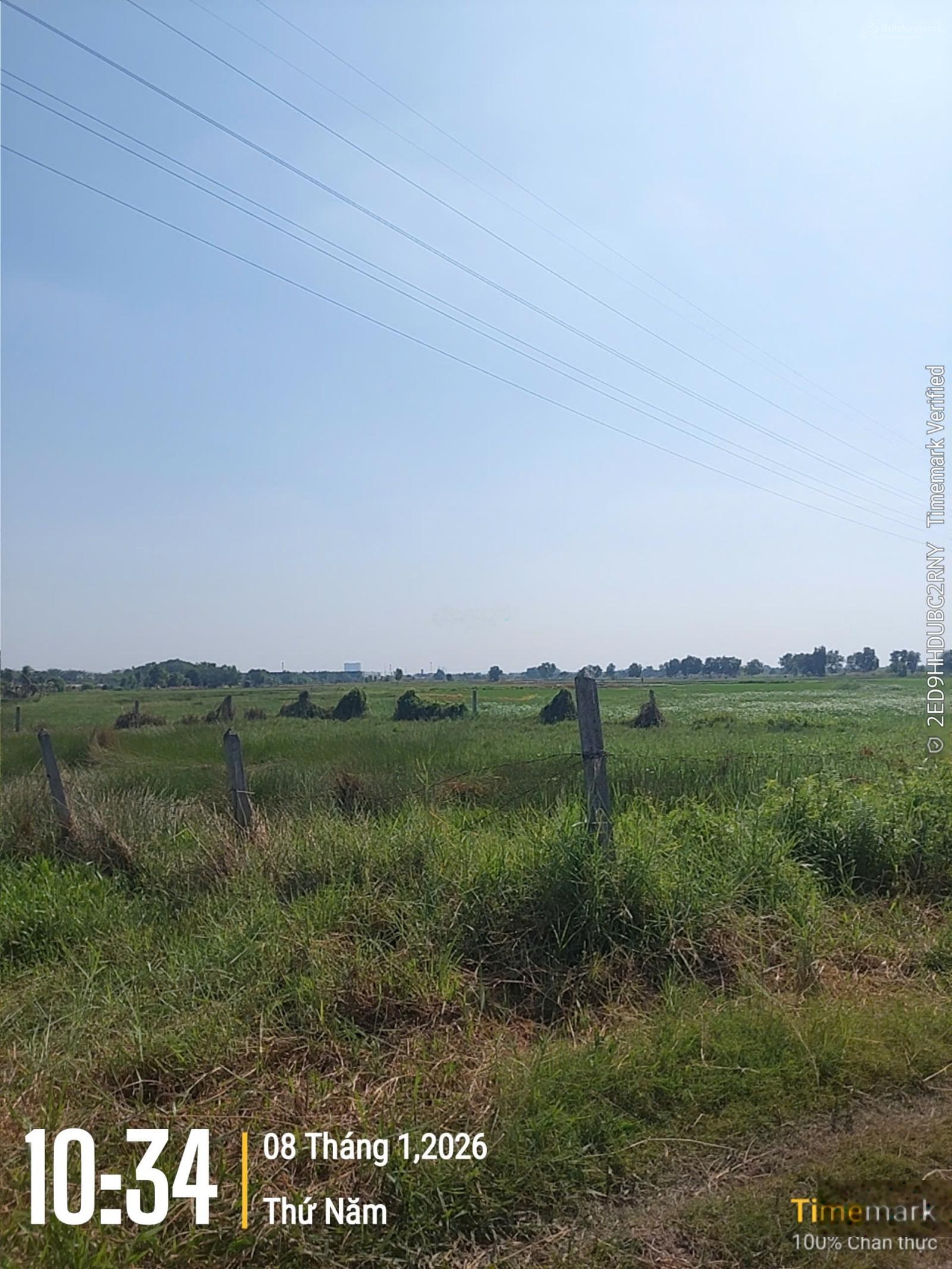 Kẹt tiền bán gấp lô đất 512m2, gần đường Bến Than. Cách chợ Tân Thạnh Đông 3p chạy xe. 0947188444