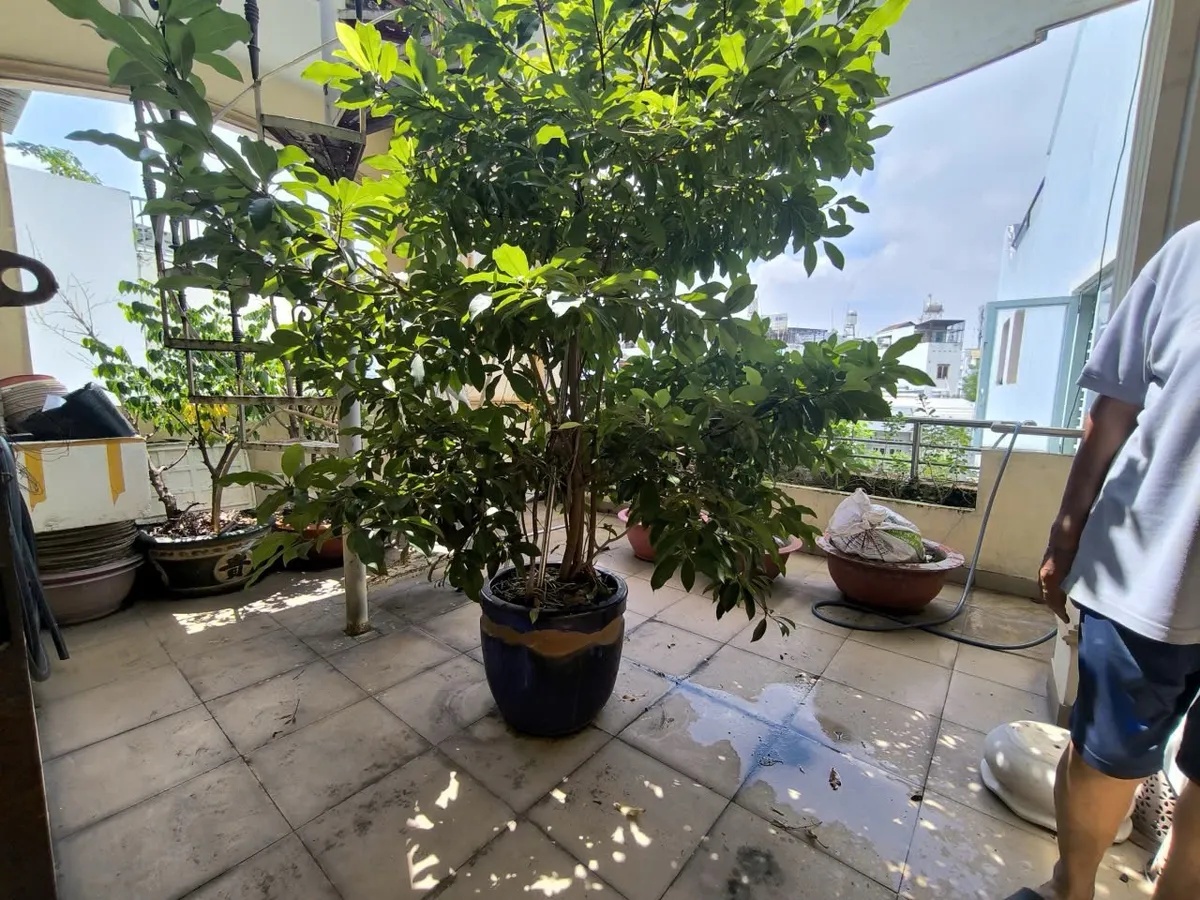 Bán nhà hẻm 572// Đường Âu Cơ,P.10,Tân Bình-62m2,4 tấm ,giá chào 7.5 tỷ