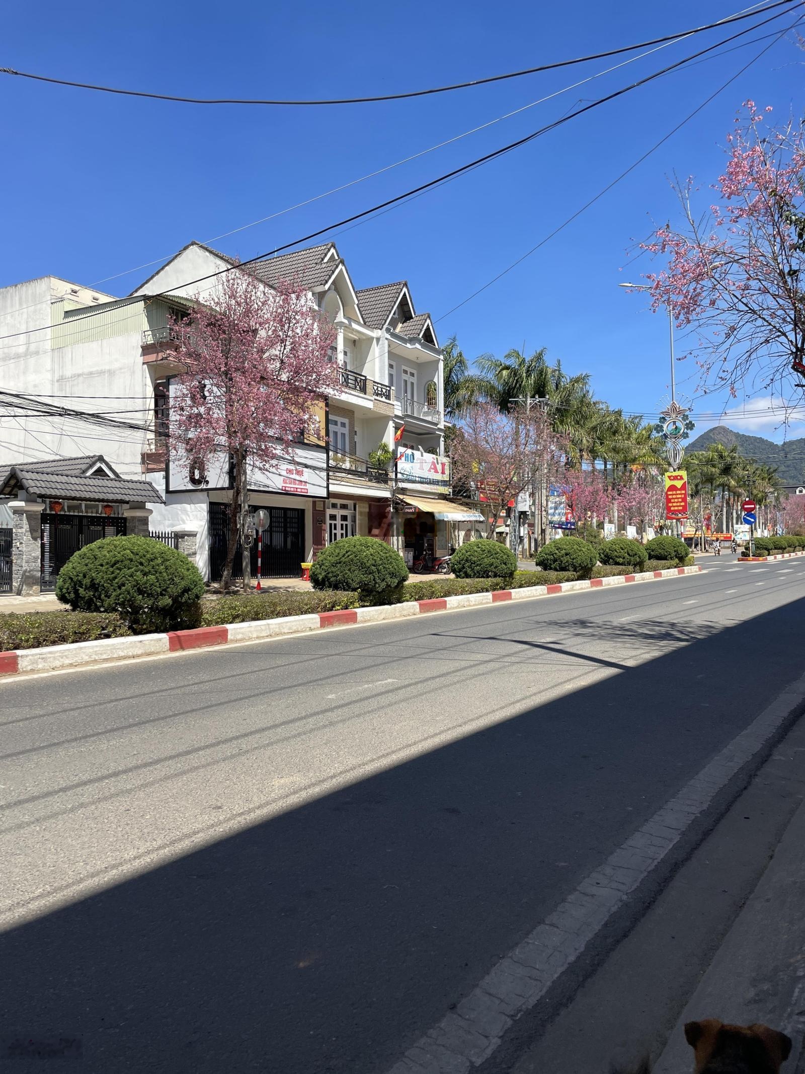 Bán nhà mặt phố, đường Lang Biang, Thị trấn Lạc Dương, Lâm Đồng, 11 tỷ, 155m2 giá tốt