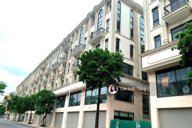 Vua dòng tiền 2026 - shophouse cầu giấy - 115m 5 tầng - vỉa hè rộng - kinh doanh sầm uất.