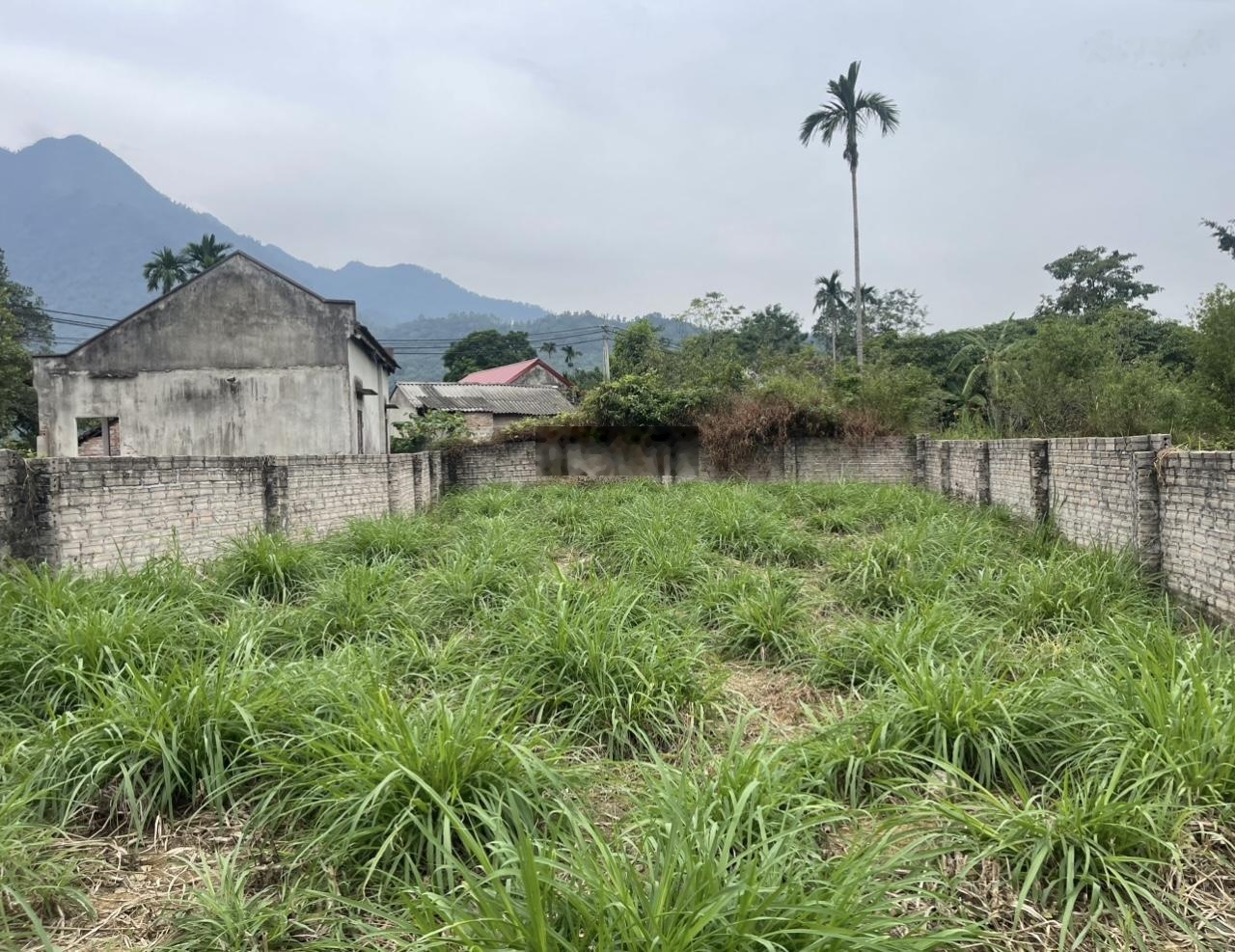 Chủ ngộp quá cần chuyển nhượng gấp lo góc 313m trong đó có 150tc tại yên bài