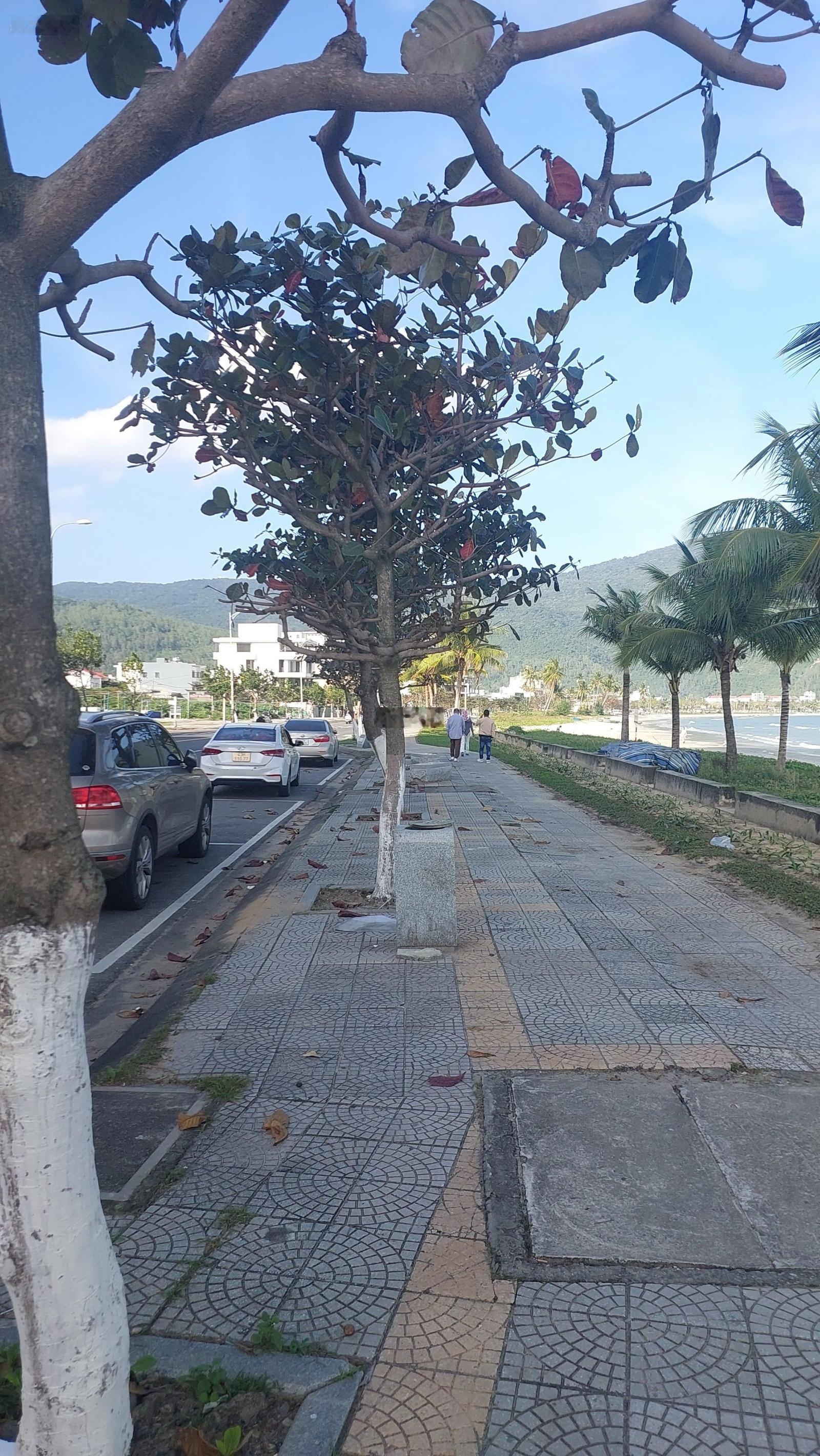 Đất Nguyễn Đình 80m2 Đông Nam, ngay Vương Thừa Vũ biển Sơn Trà đẹp rẻ