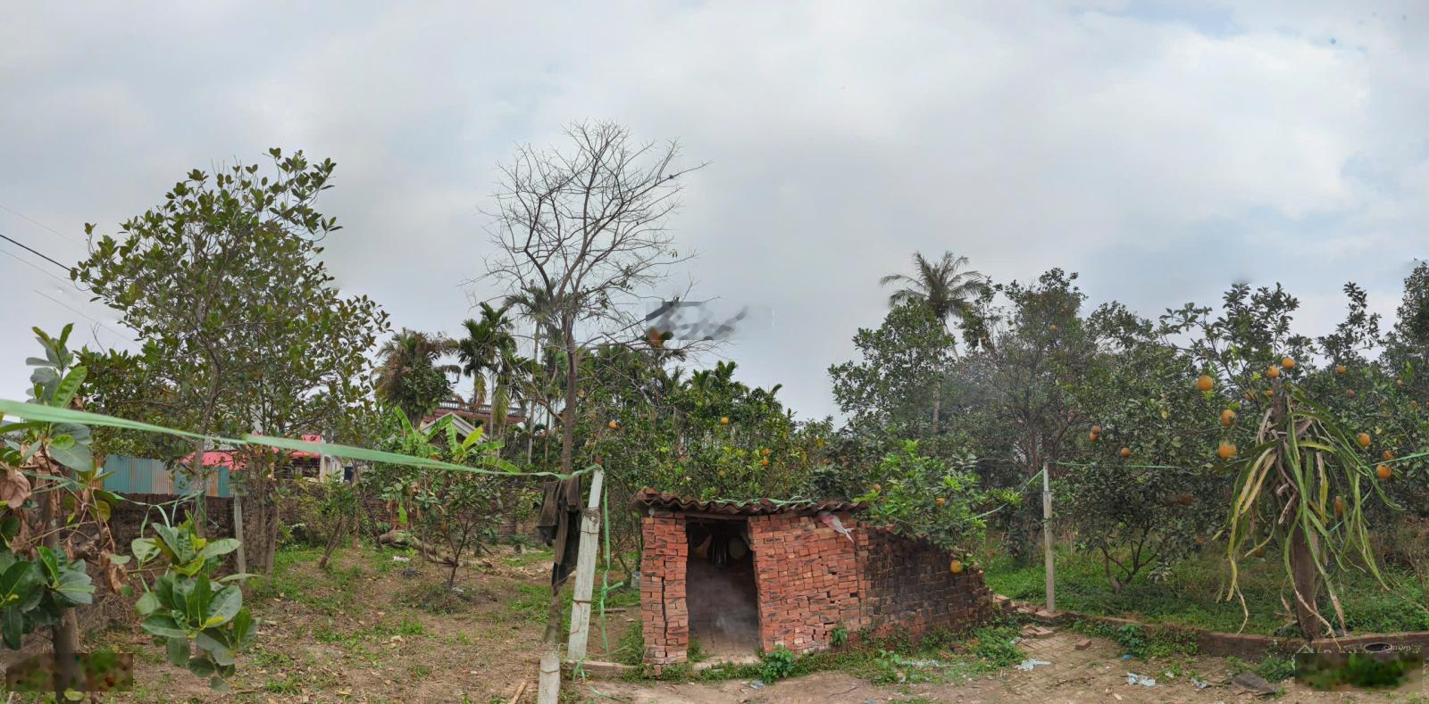 Chính chủ bán đất căn góc, mặt tiền trên 10m - Sổ đỏ chính chủ full thổ cư gần sân bay Nội Bài