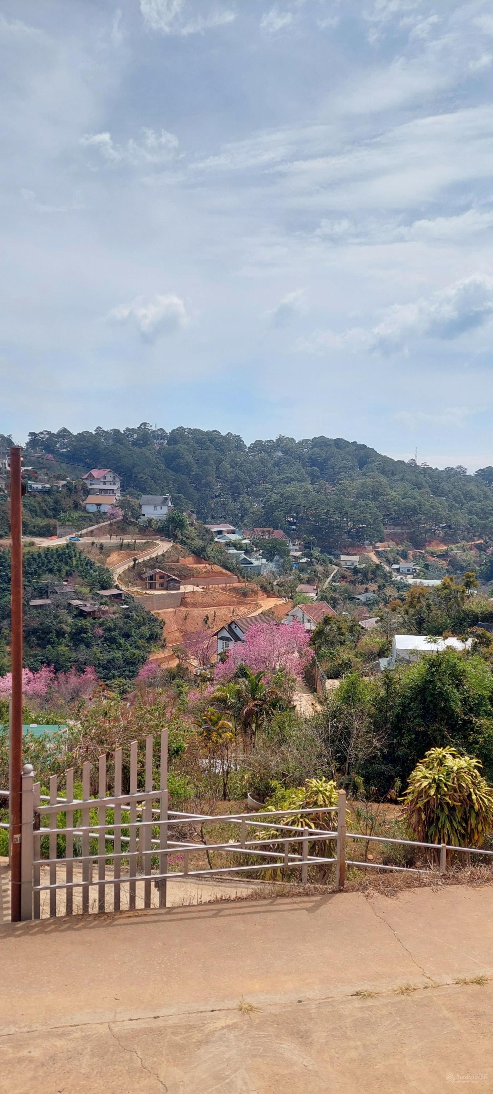 Lô đất view rừng thông 3000m2 ngay trung tâm TP Đà Lạt-có 400m2 XD - 30tỷ. Cách Hồ Xuân Hương 4km